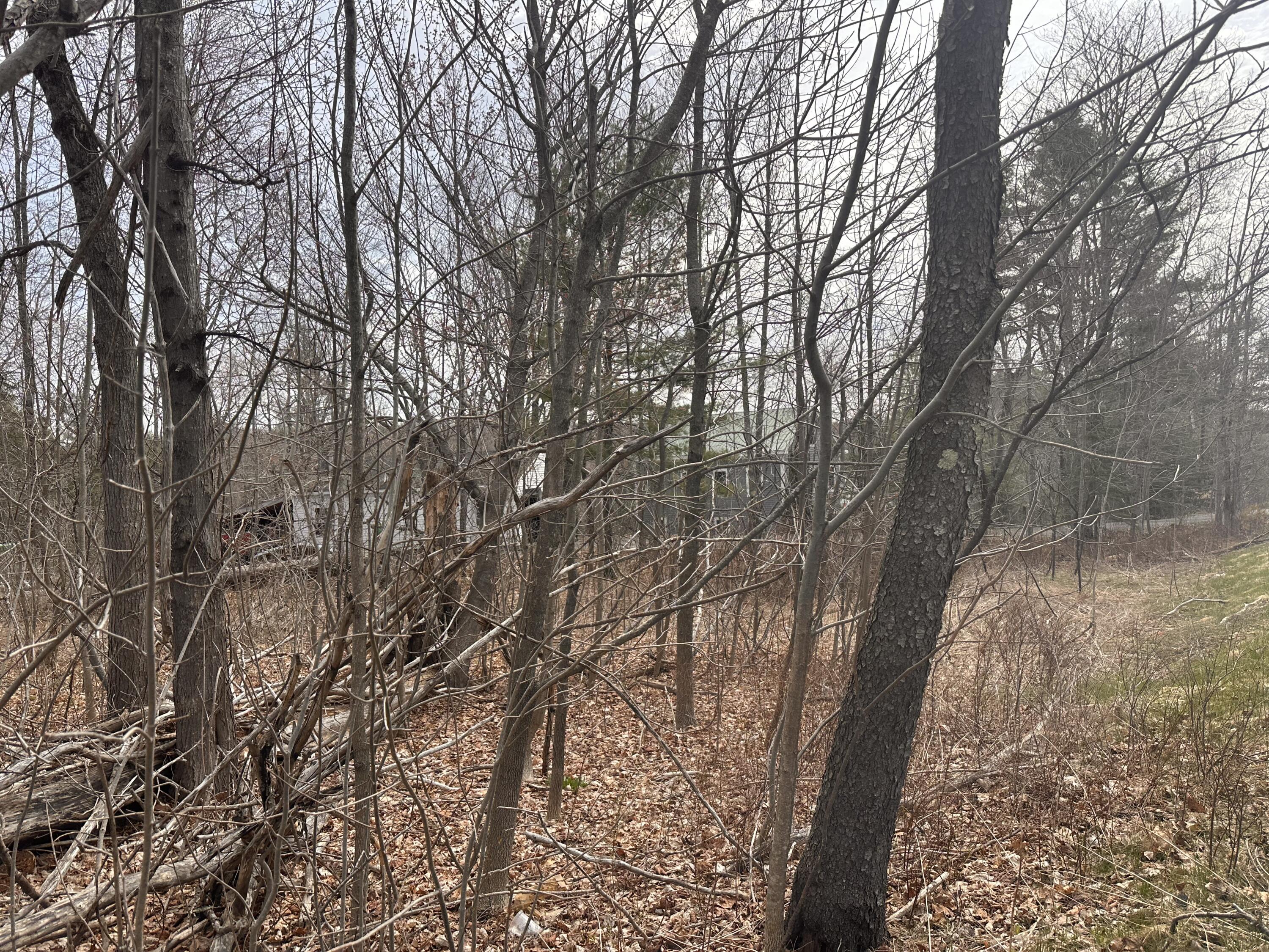 59 Gardiner Road Dresden, ME 04342 - Photo 5 of 16 IMG_8509