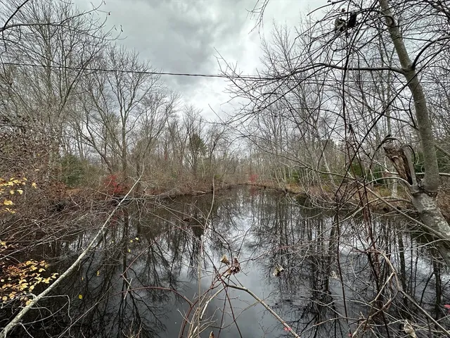 a view of sunset and yard