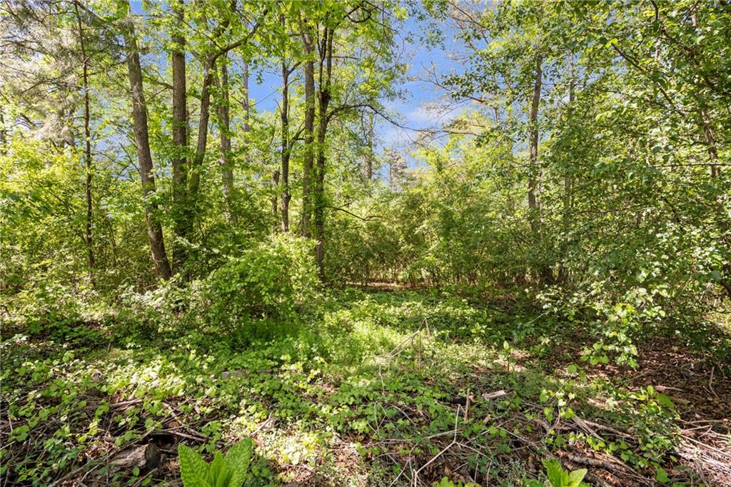 603 Webb Gin House Road Lawrenceville, GA 30045 - Photo 9 of 19