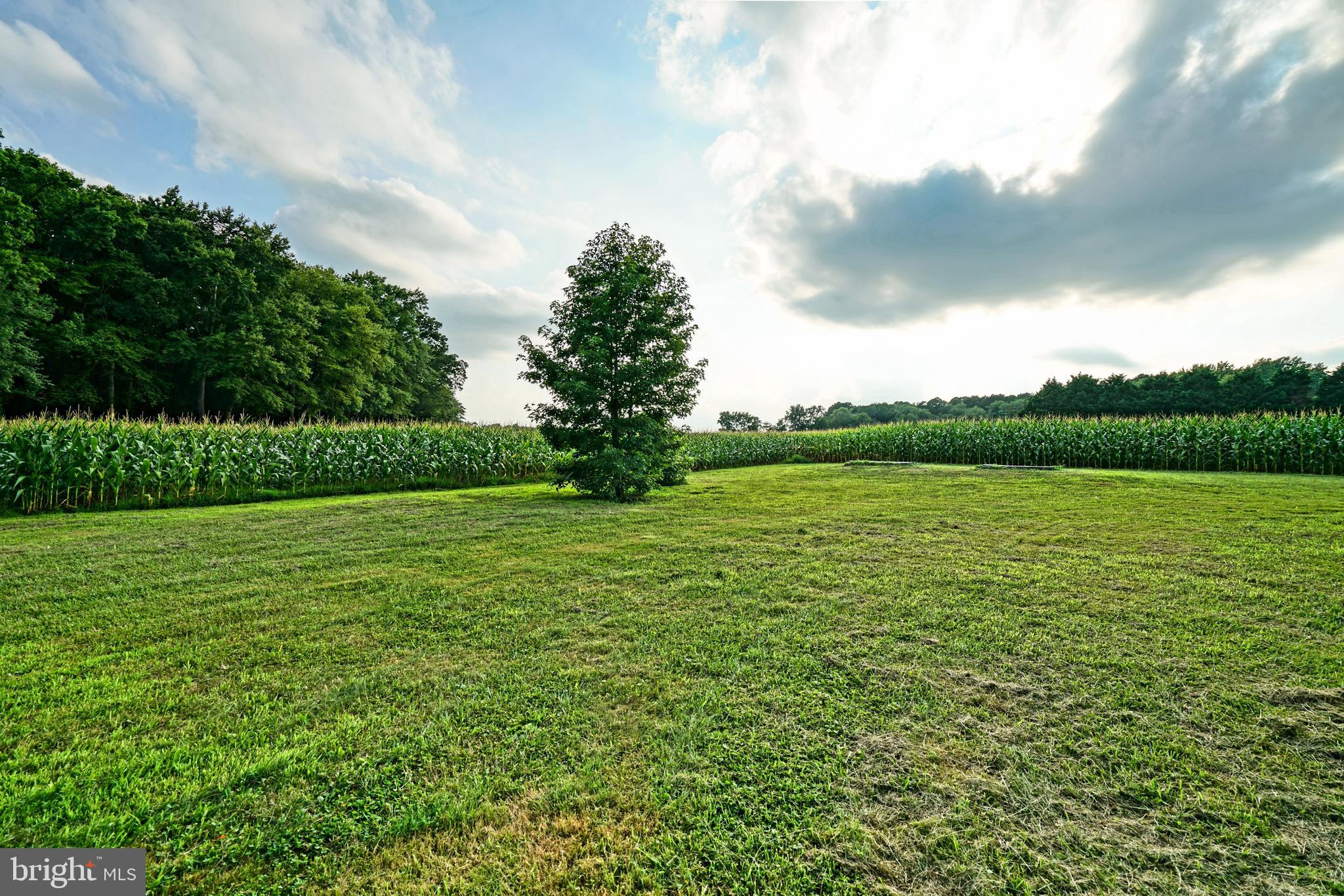 26170 Cave Neck Road Milton, DE 19968 - Photo 28 of 28 Gallery Image 28