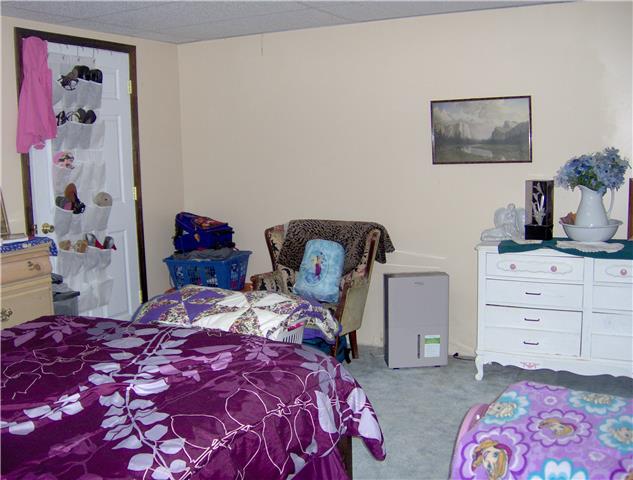 1636 Simmons Ridge Road Cornersville, TN 37047 - Photo 11 of 15 Downstairs bedroom (no window) with lots of closet space.