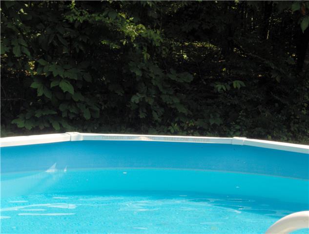 1636 Simmons Ridge Road Cornersville, TN 37047 - Photo 8 of 15 Swim surrounded by natural privacy.