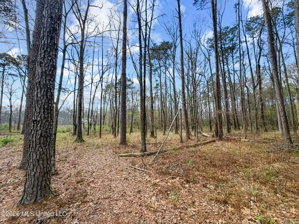 $199,999 | Brookhollow, Flowood, MS 39232