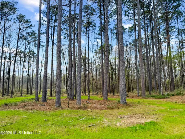 $199,999 | Brookhollow, Flowood, MS 39232