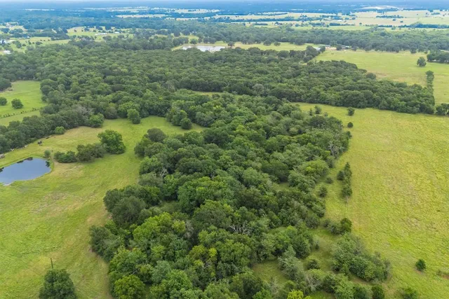 a view of a lake with a city