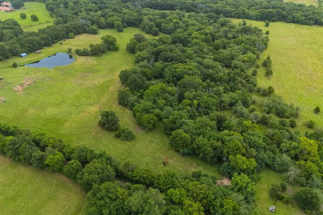 a view of a lush green forest with a lake
