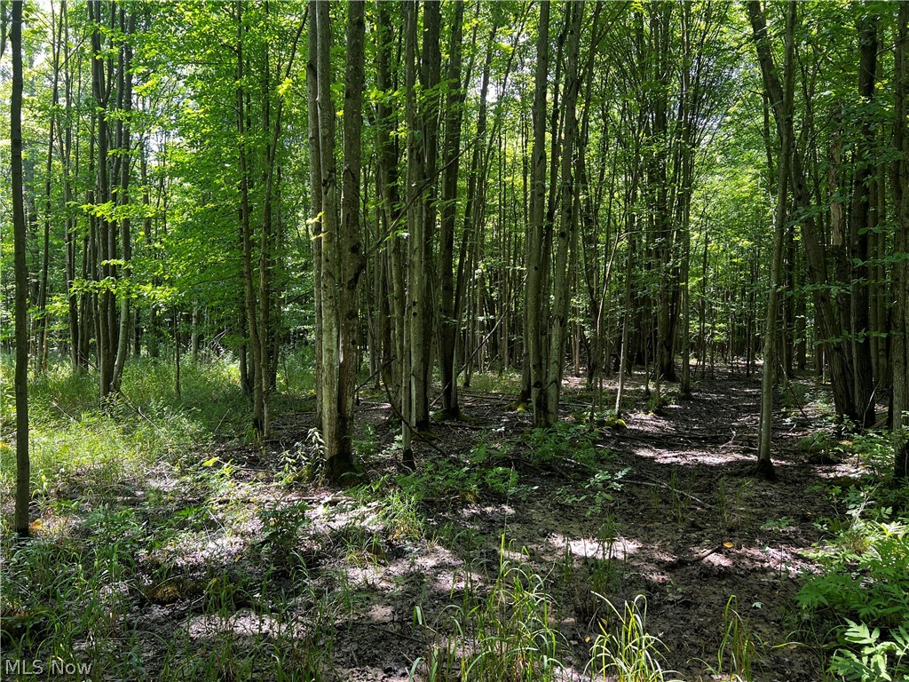 5076 Anderson Road Pierpont, OH 44082 - Photo 20 of 42 Gallery Image 20