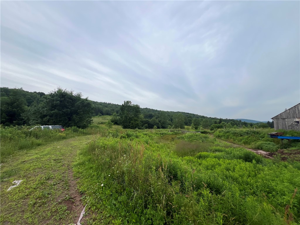 834 Crescent Valley Road Bovina, NY 13740 - Photo 19 of 50