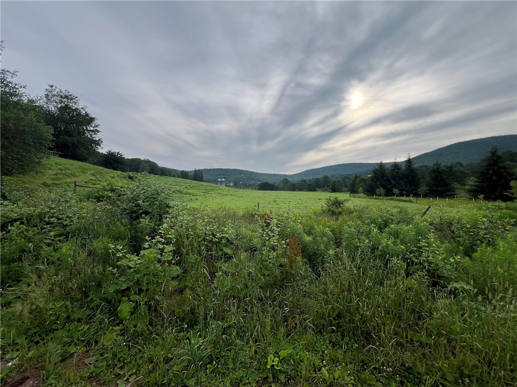 834 Crescent Valley Road Bovina, NY 13740 - Photo 20 of 50