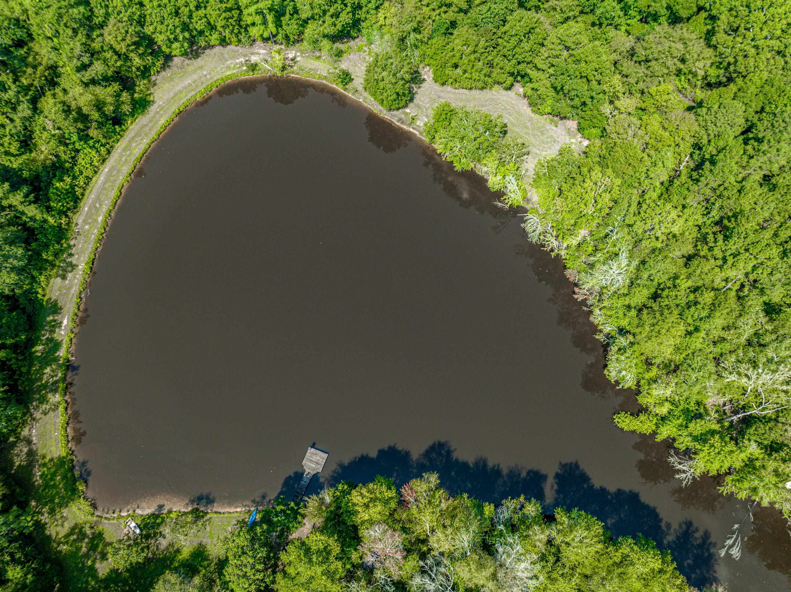 0 Phillips Road Eatonton, GA 31024 - Photo 11 of 61