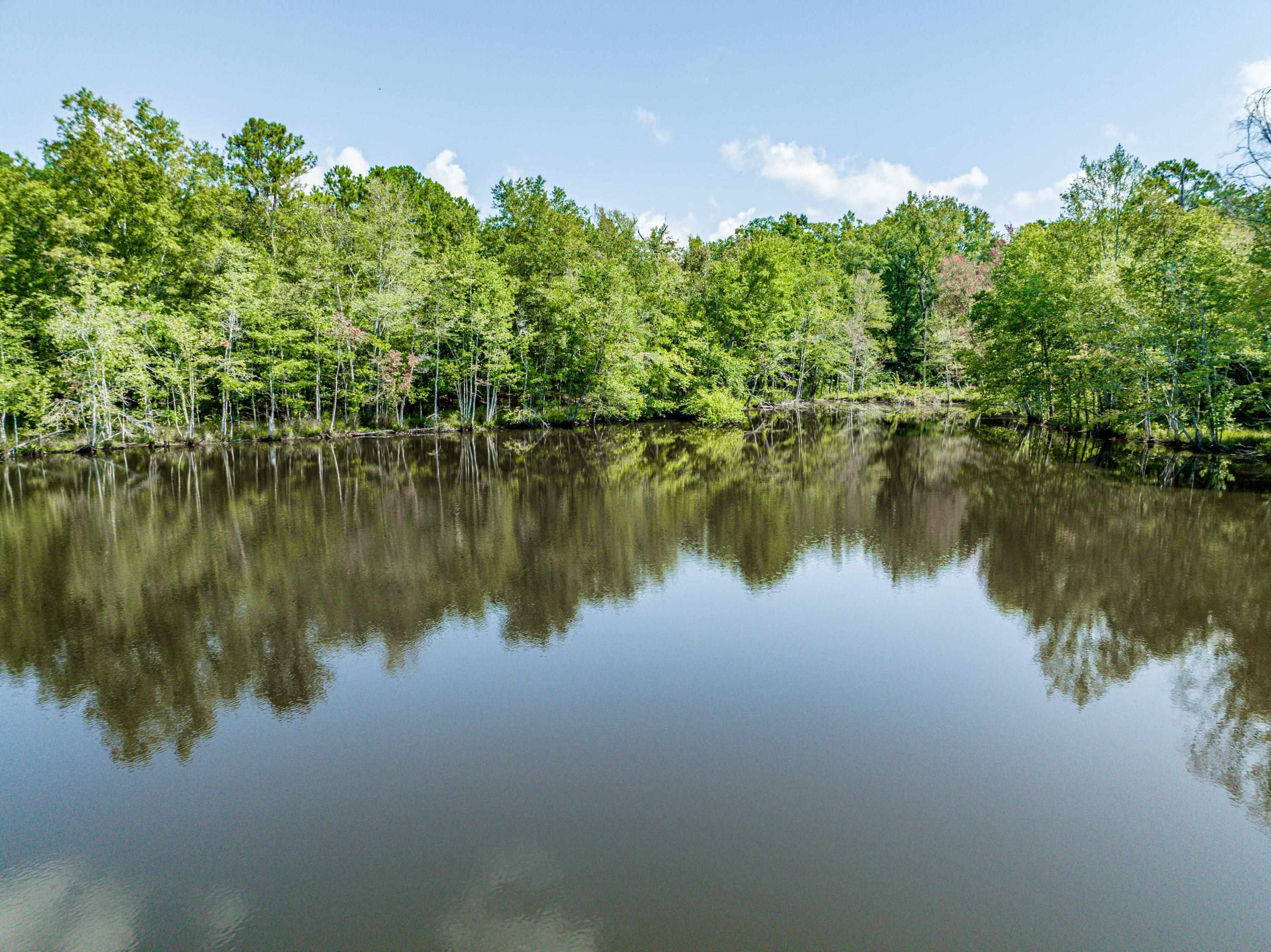 0 Phillips Road Eatonton, GA 31024 - Photo 12 of 61