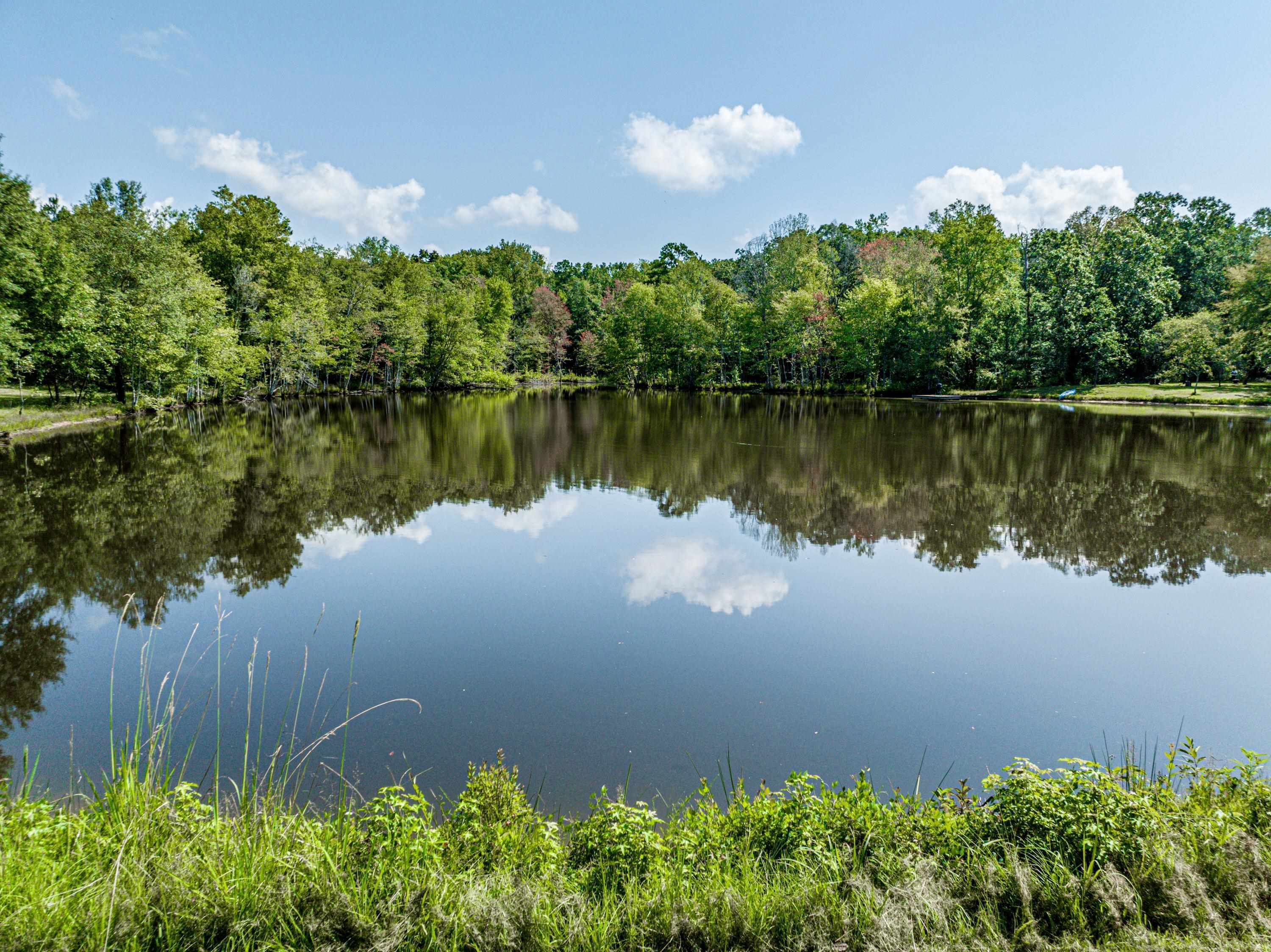 0 Phillips Road Eatonton, GA 31024 - Photo 14 of 61