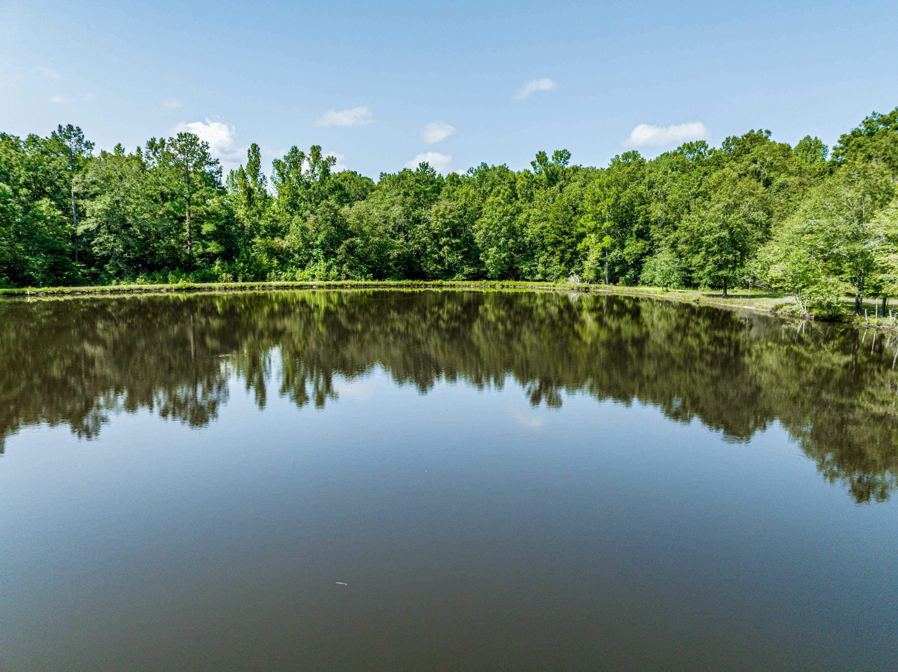 0 Phillips Road Eatonton, GA 31024 - Photo 17 of 61