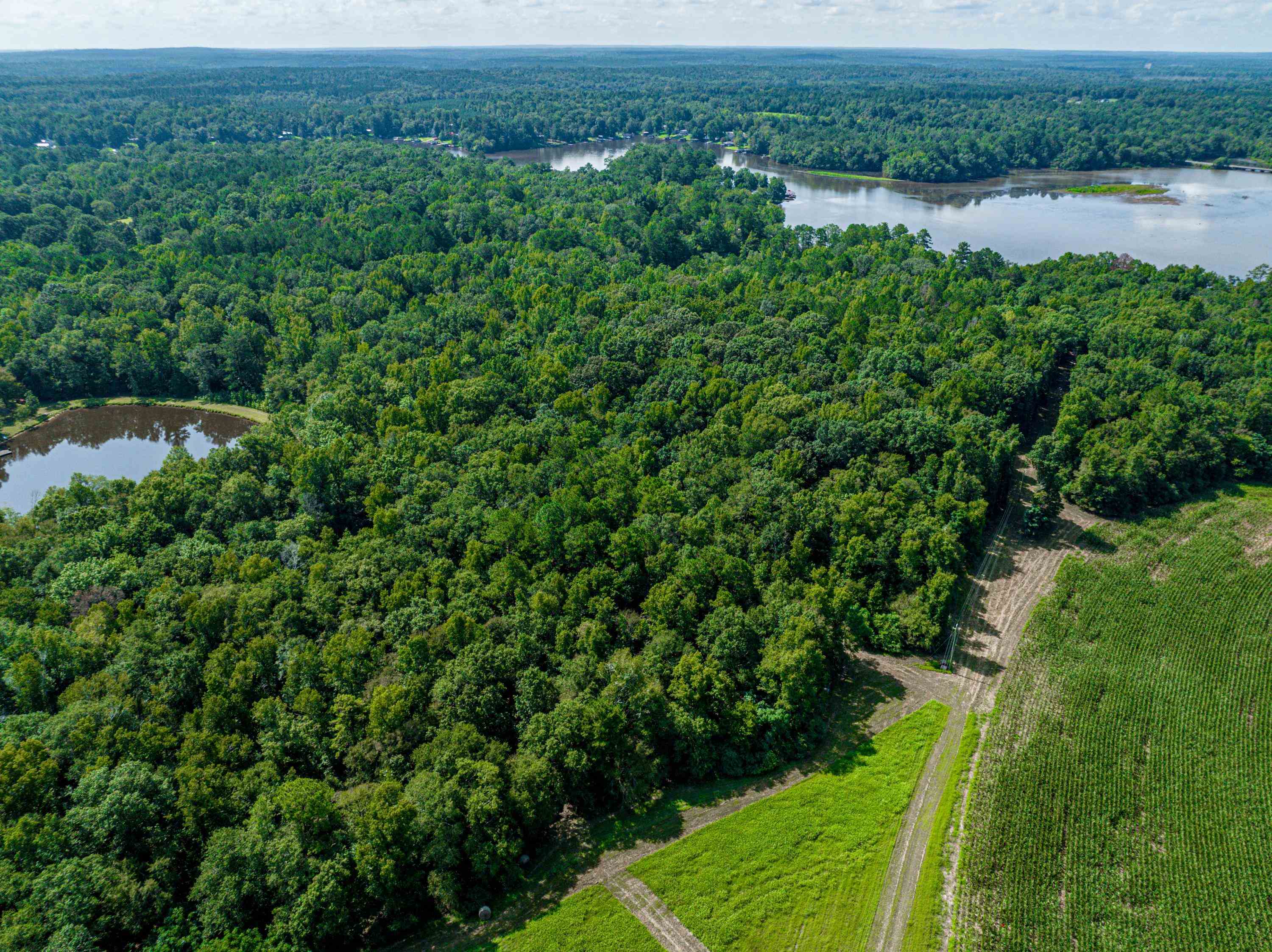 0 Phillips Road Eatonton, GA 31024 - Photo 19 of 61