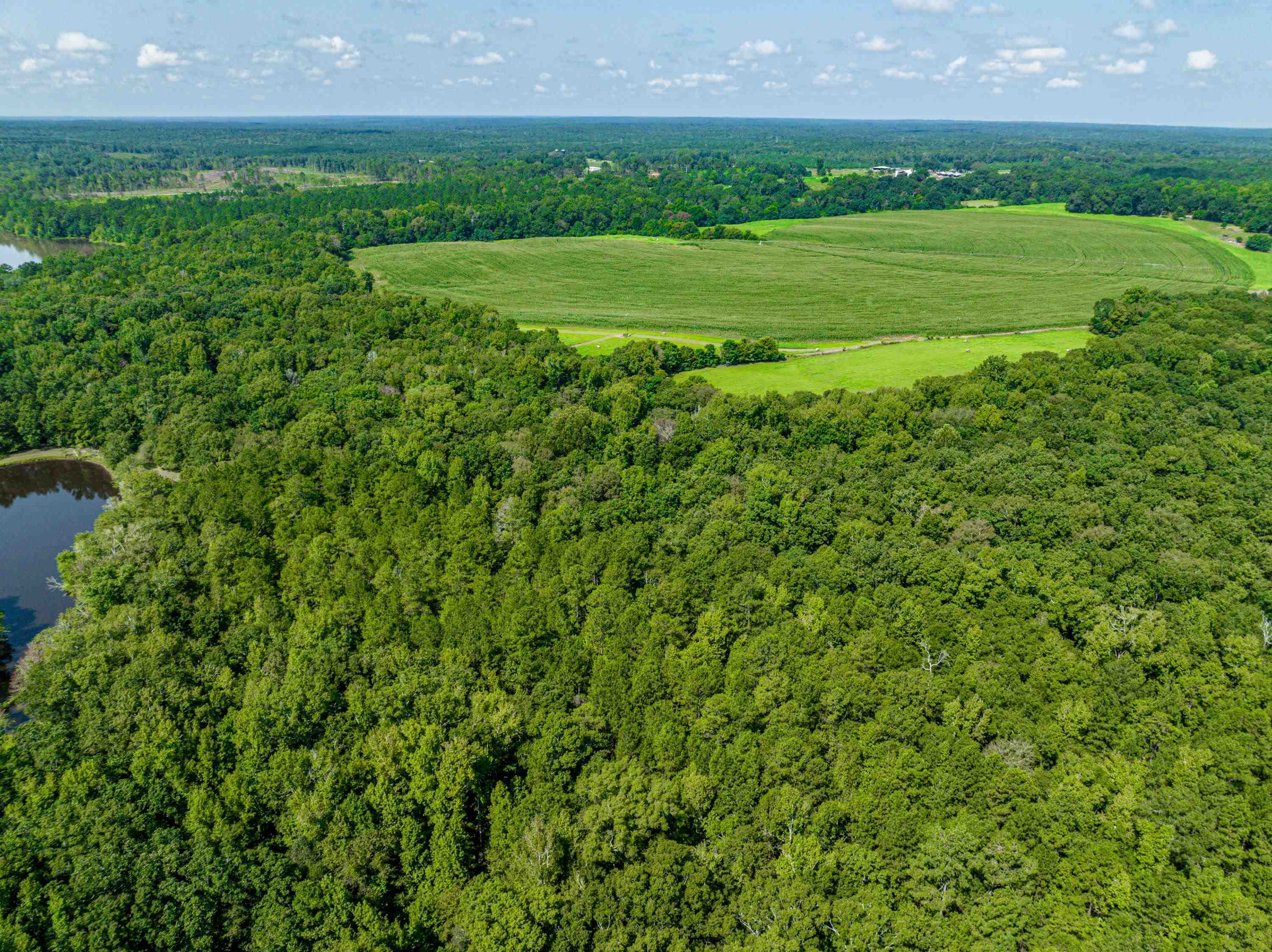 0 Phillips Road Eatonton, GA 31024 - Photo 21 of 61