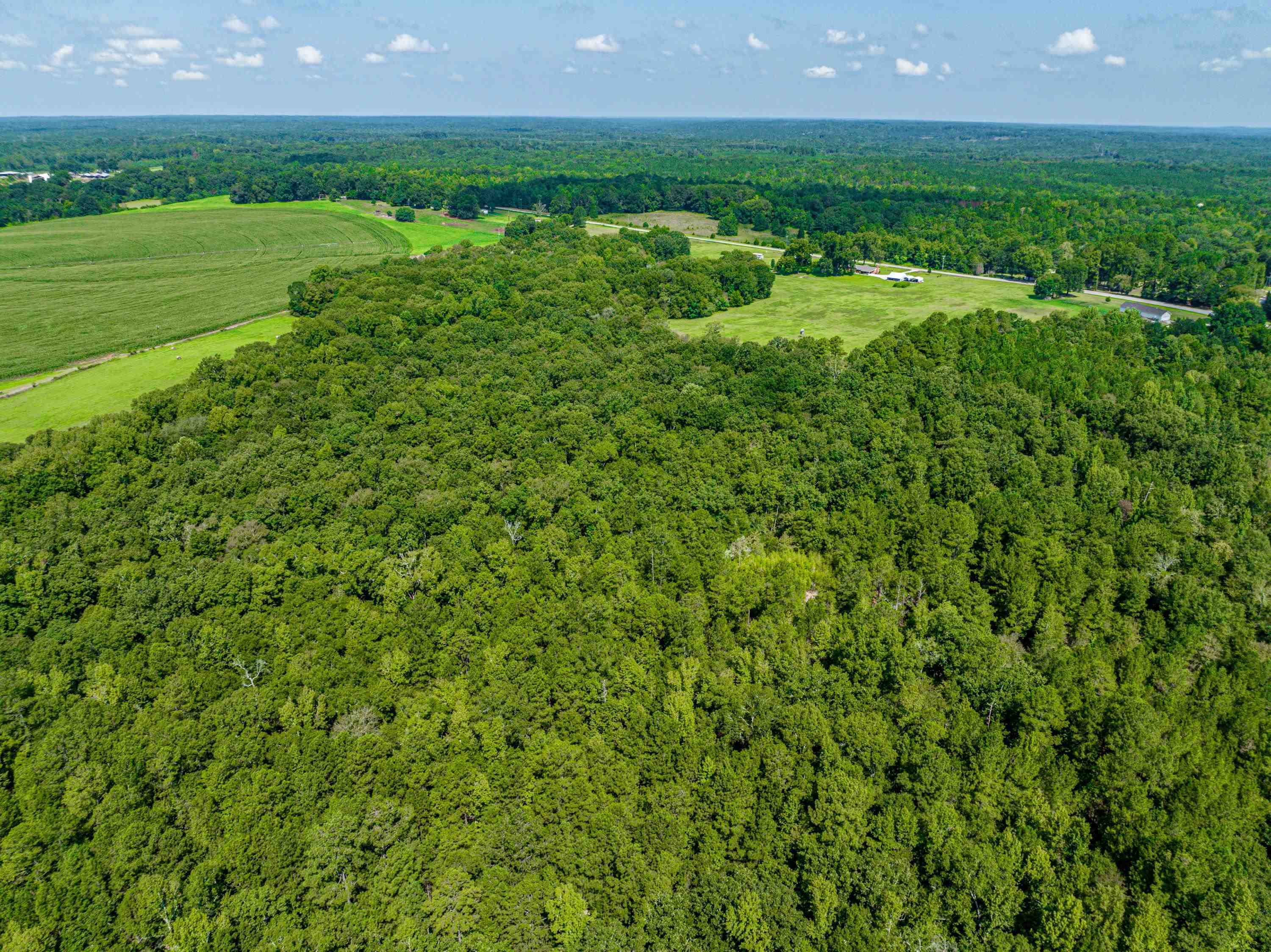 0 Phillips Road Eatonton, GA 31024 - Photo 22 of 61