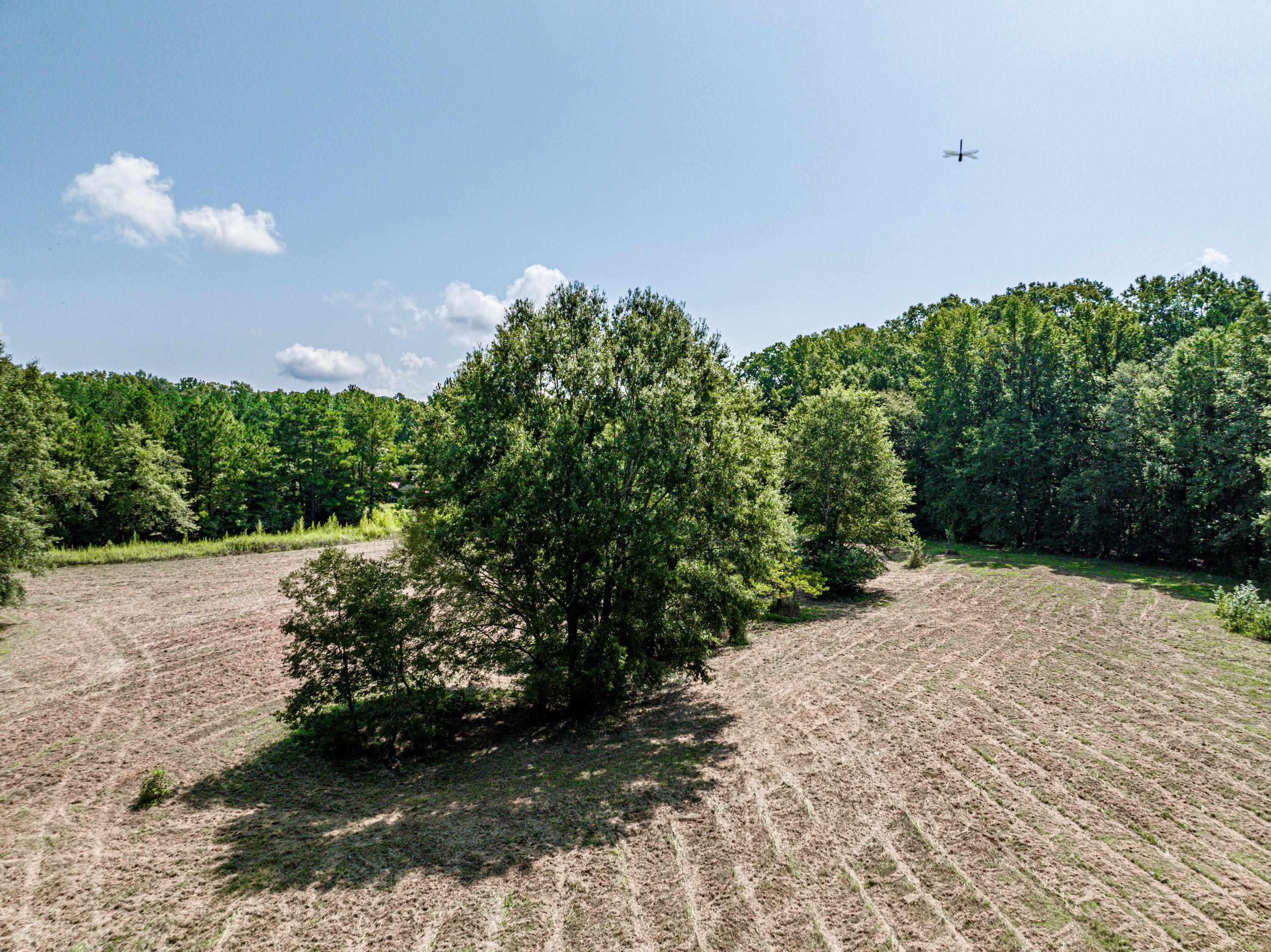 0 Phillips Road Eatonton, GA 31024 - Photo 27 of 61