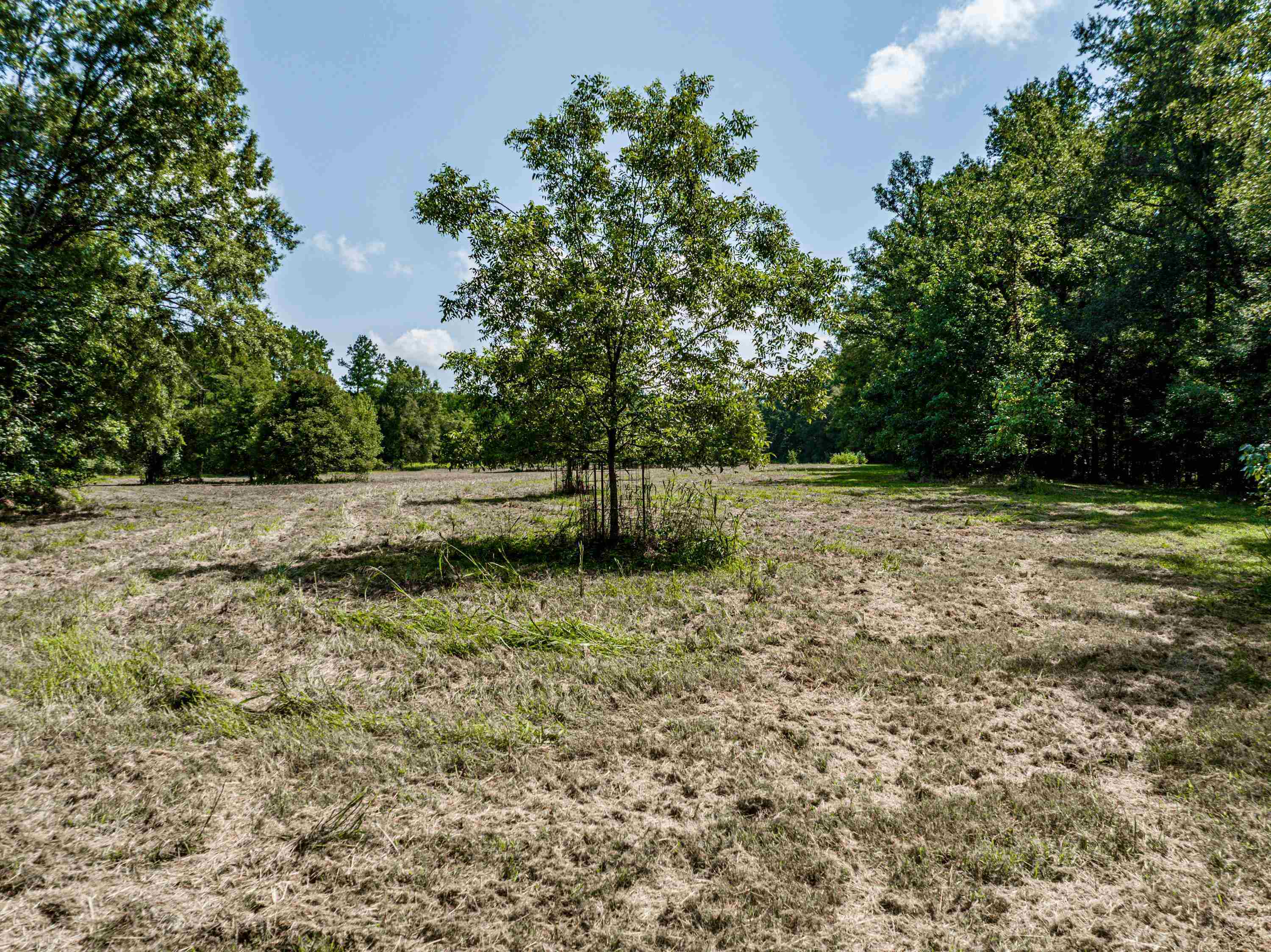 0 Phillips Road Eatonton, GA 31024 - Photo 30 of 61