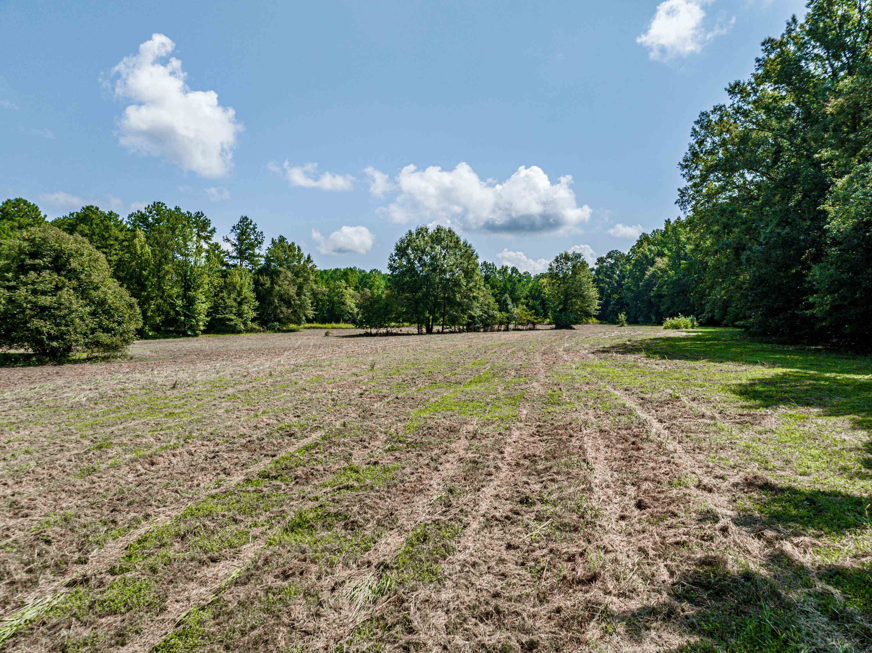 0 Phillips Road Eatonton, GA 31024 - Photo 31 of 61