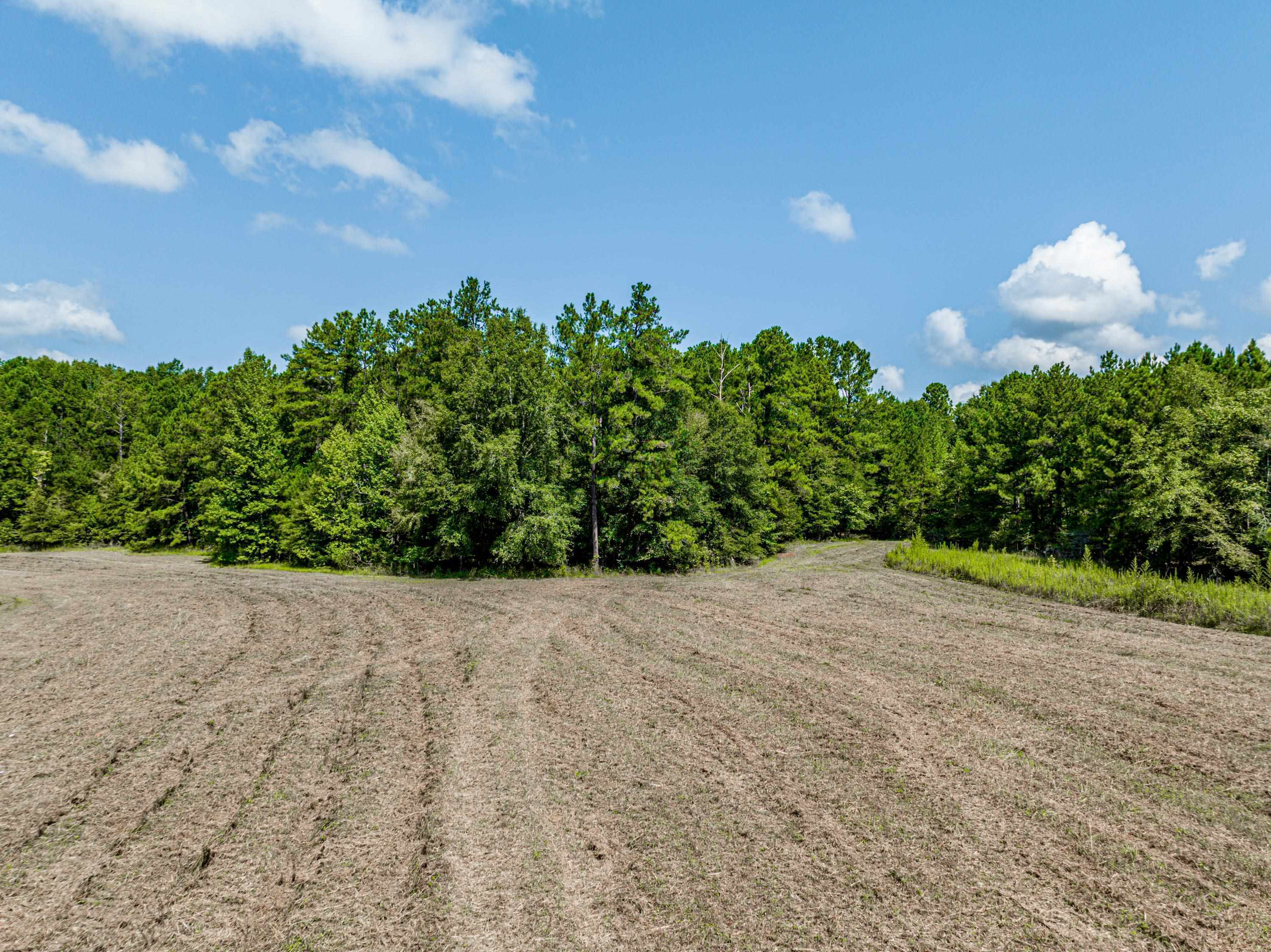 0 Phillips Road Eatonton, GA 31024 - Photo 33 of 61
