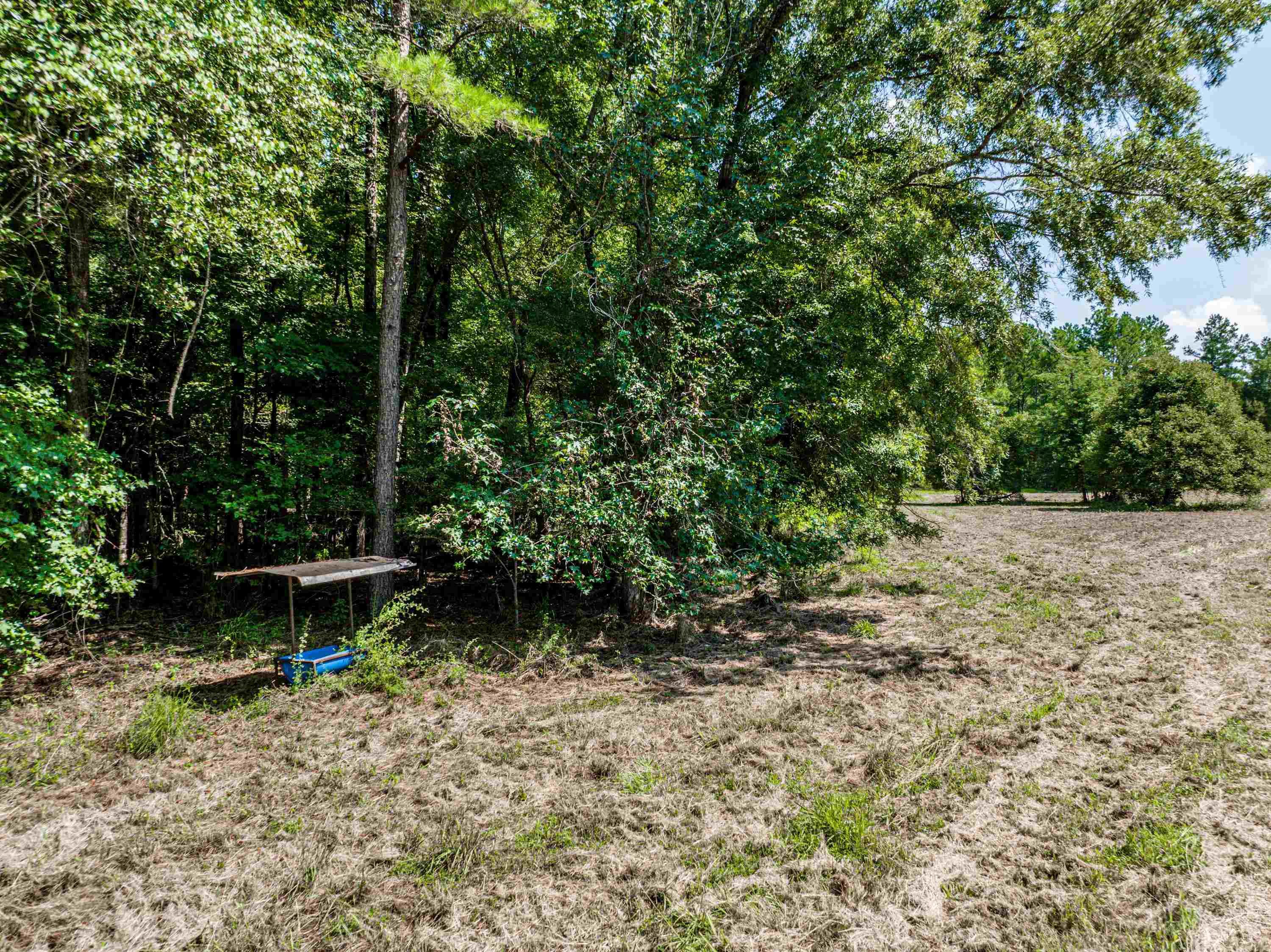 0 Phillips Road Eatonton, GA 31024 - Photo 34 of 61