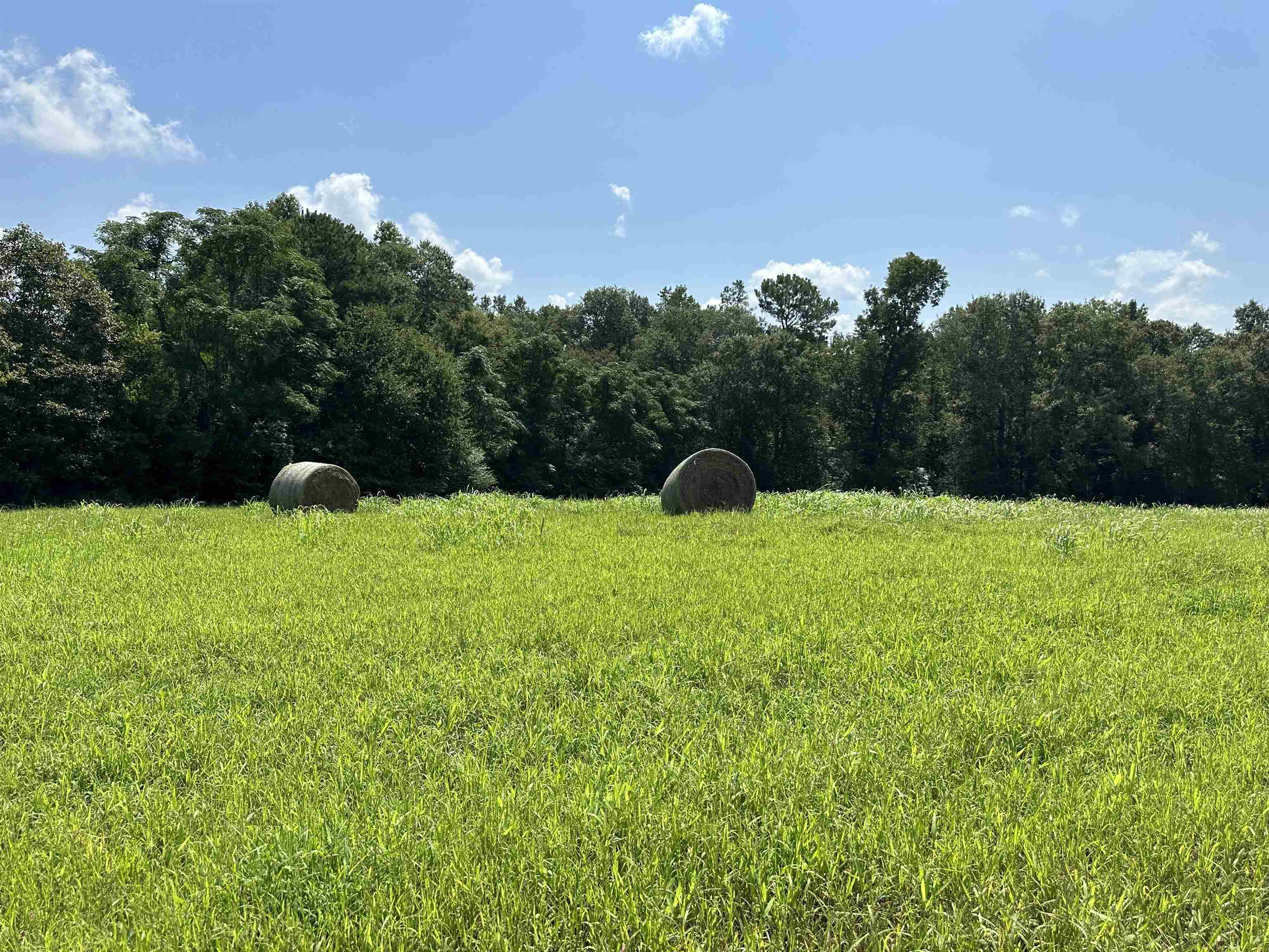 0 Phillips Road Eatonton, GA 31024 - Photo 37 of 61