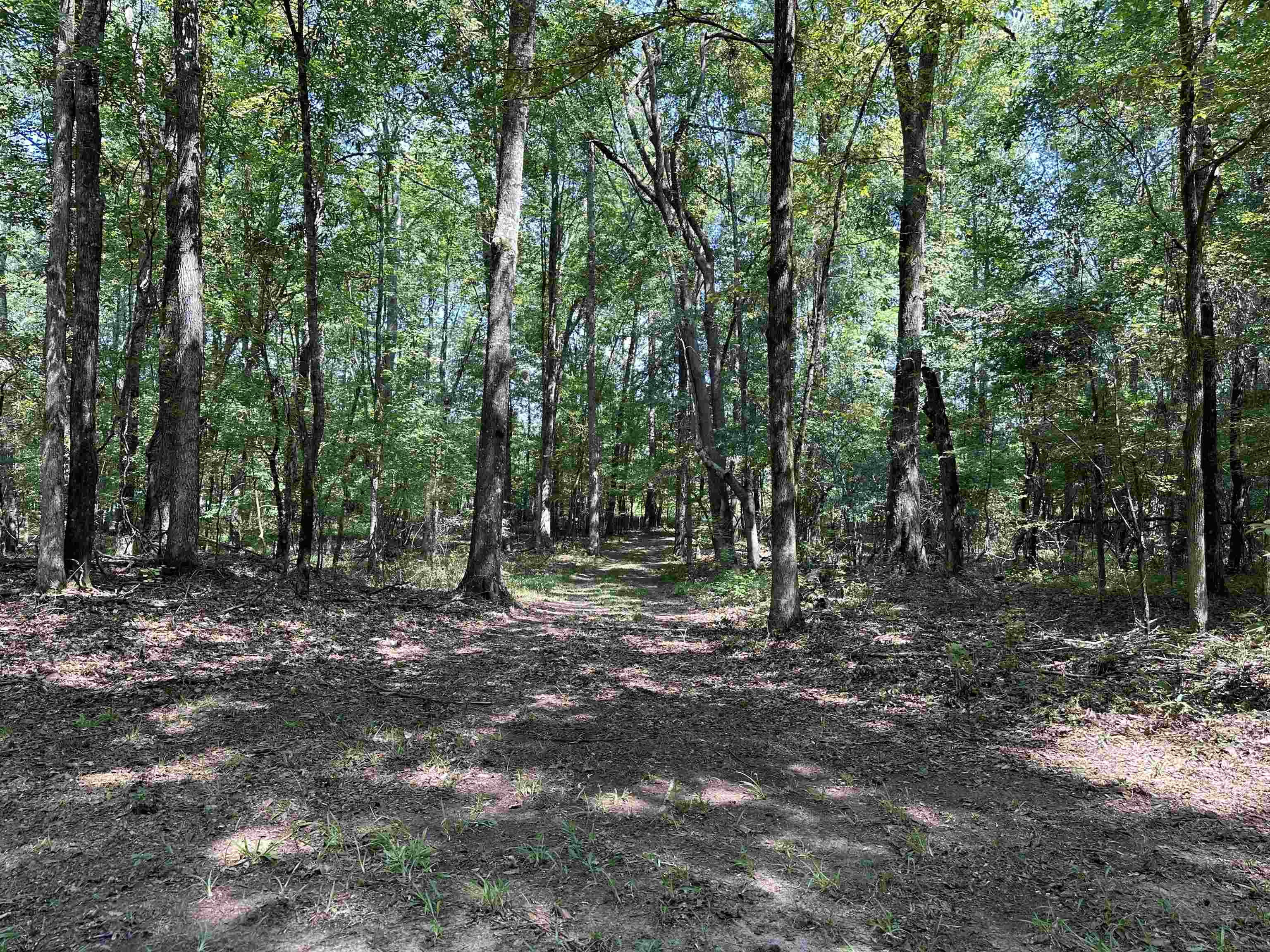 0 Phillips Road Eatonton, GA 31024 - Photo 42 of 61