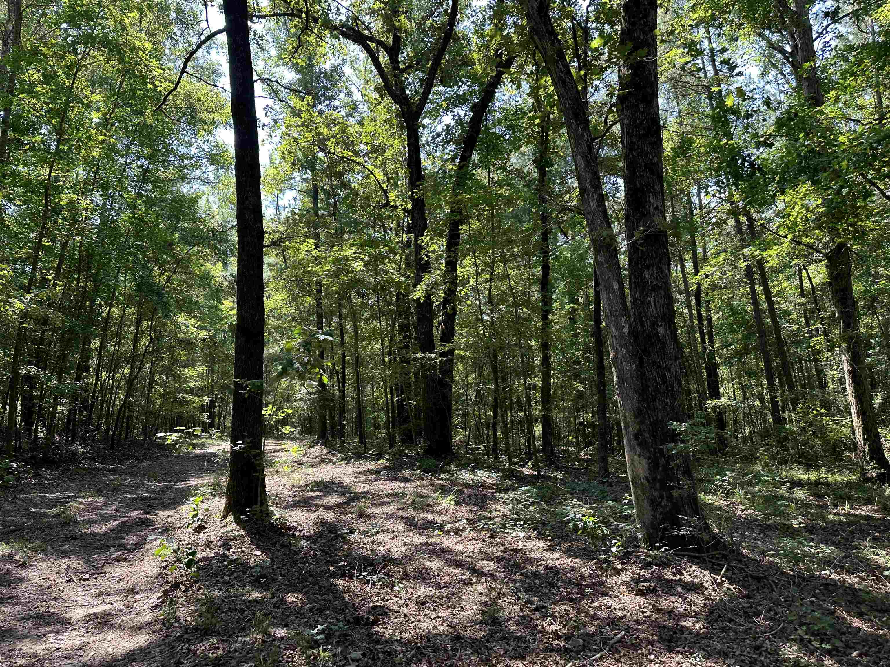 0 Phillips Road Eatonton, GA 31024 - Photo 43 of 61