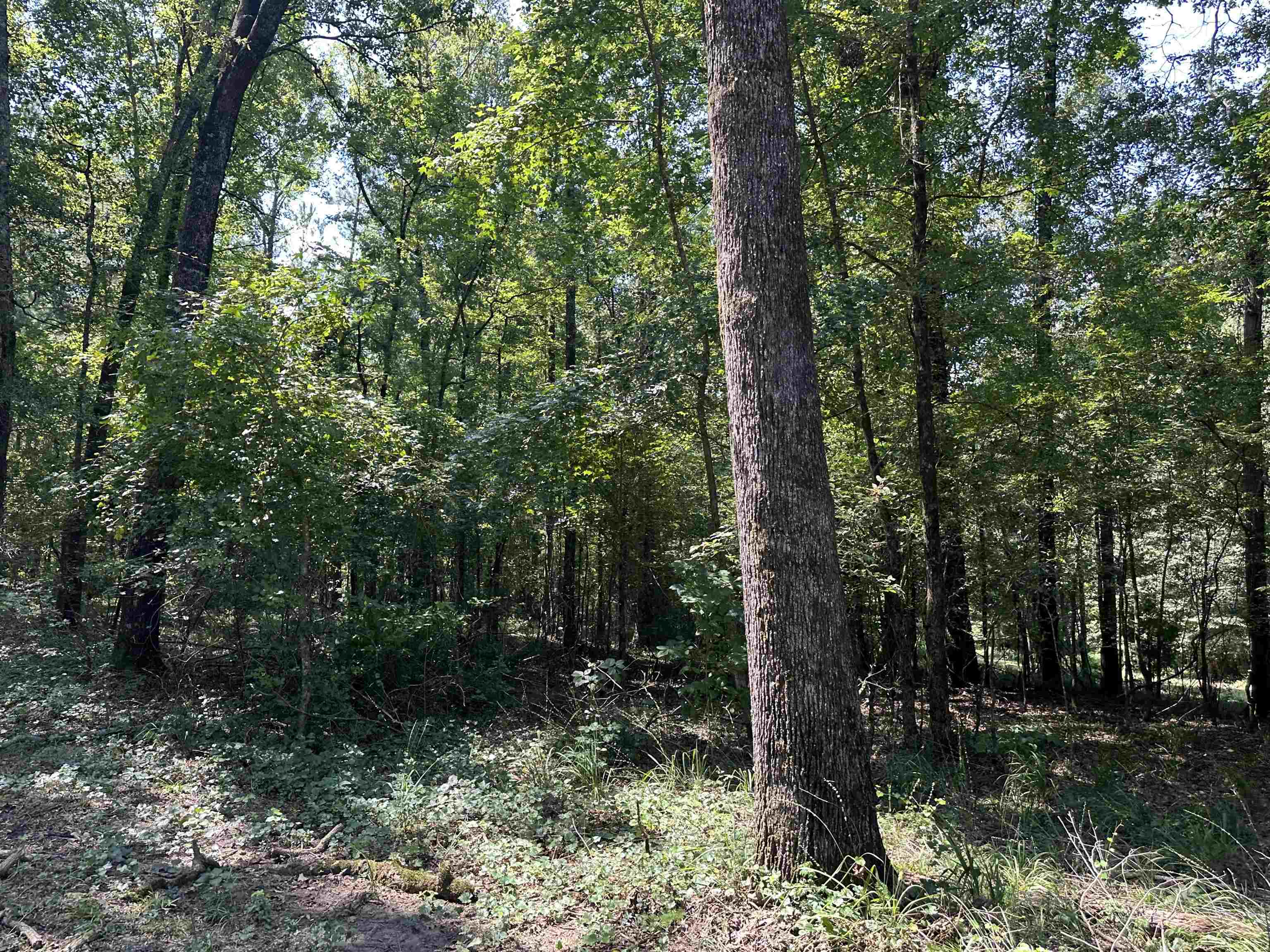 0 Phillips Road Eatonton, GA 31024 - Photo 44 of 61