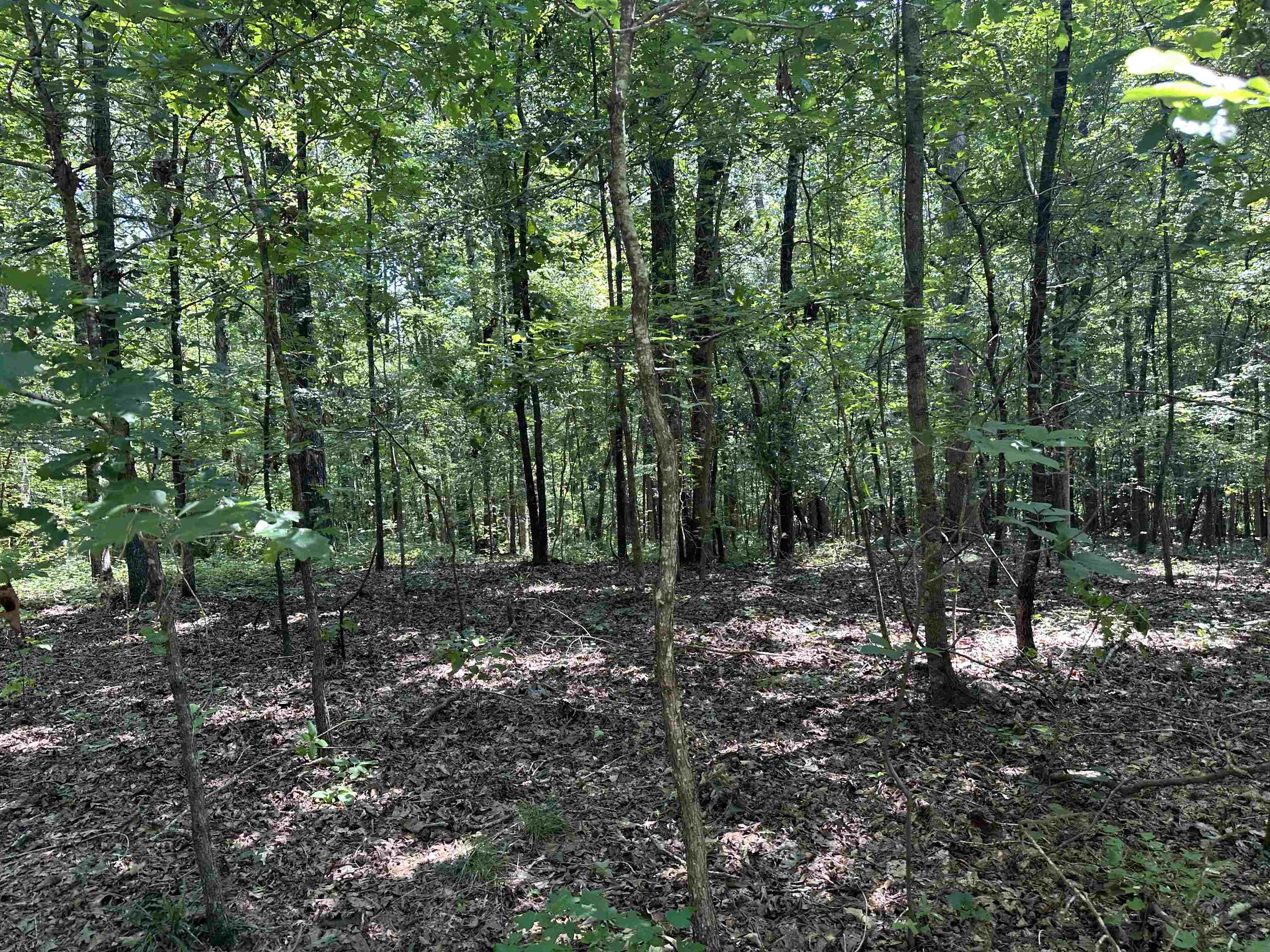 0 Phillips Road Eatonton, GA 31024 - Photo 45 of 61