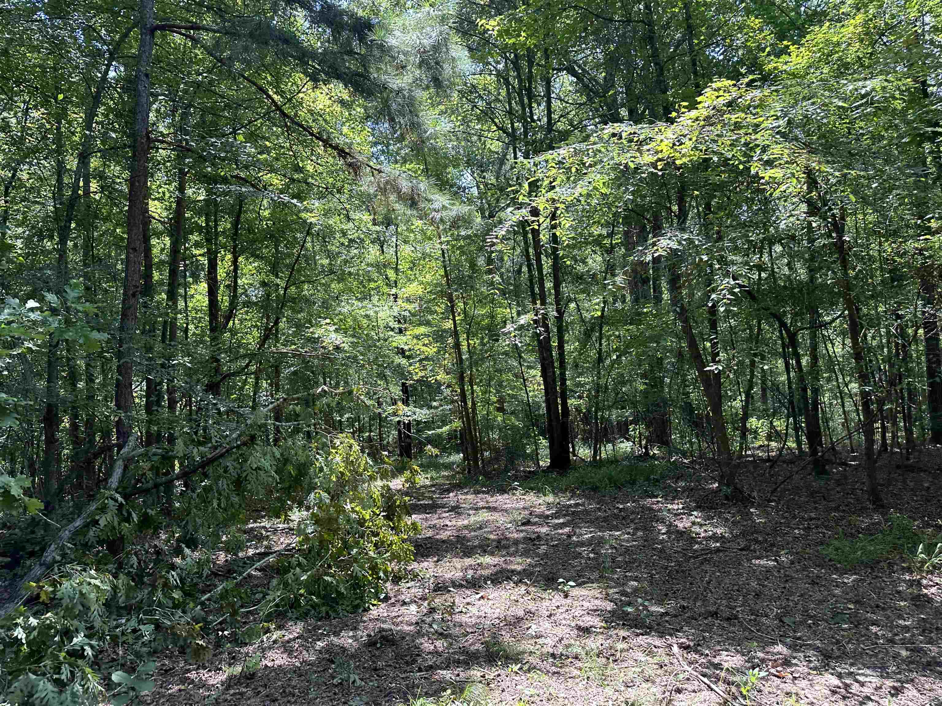 0 Phillips Road Eatonton, GA 31024 - Photo 46 of 61