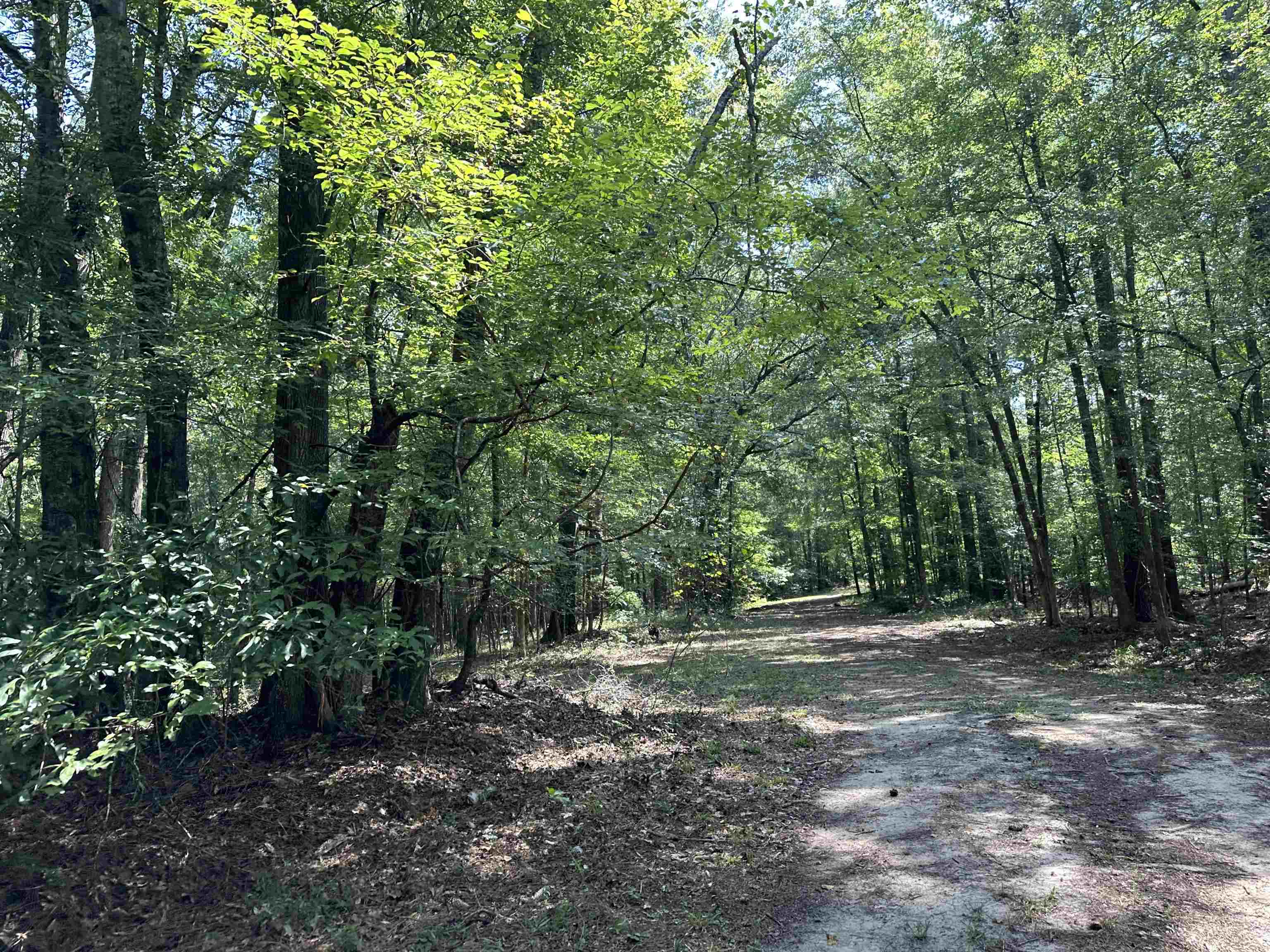 0 Phillips Road Eatonton, GA 31024 - Photo 47 of 61