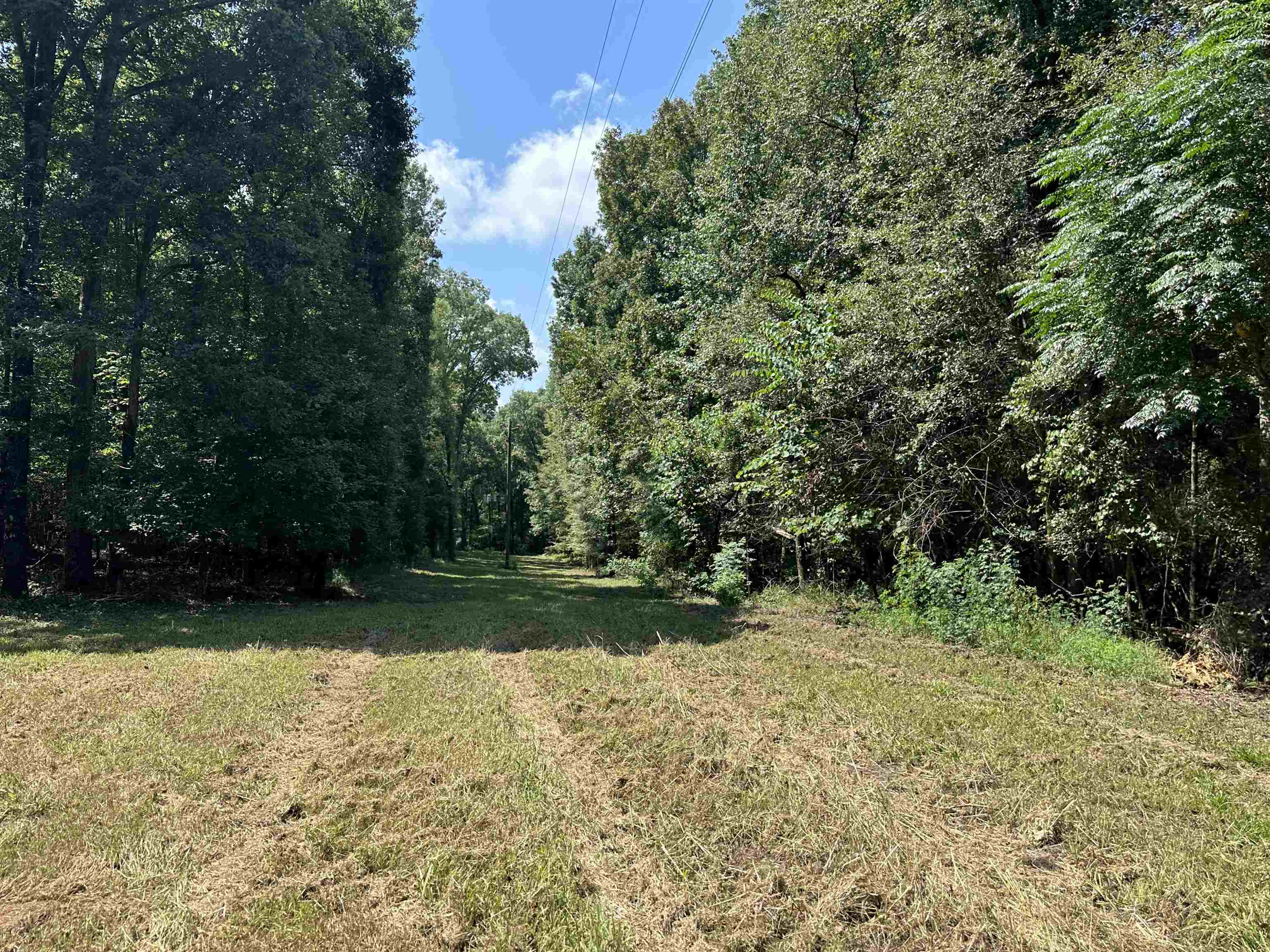 0 Phillips Road Eatonton, GA 31024 - Photo 48 of 61