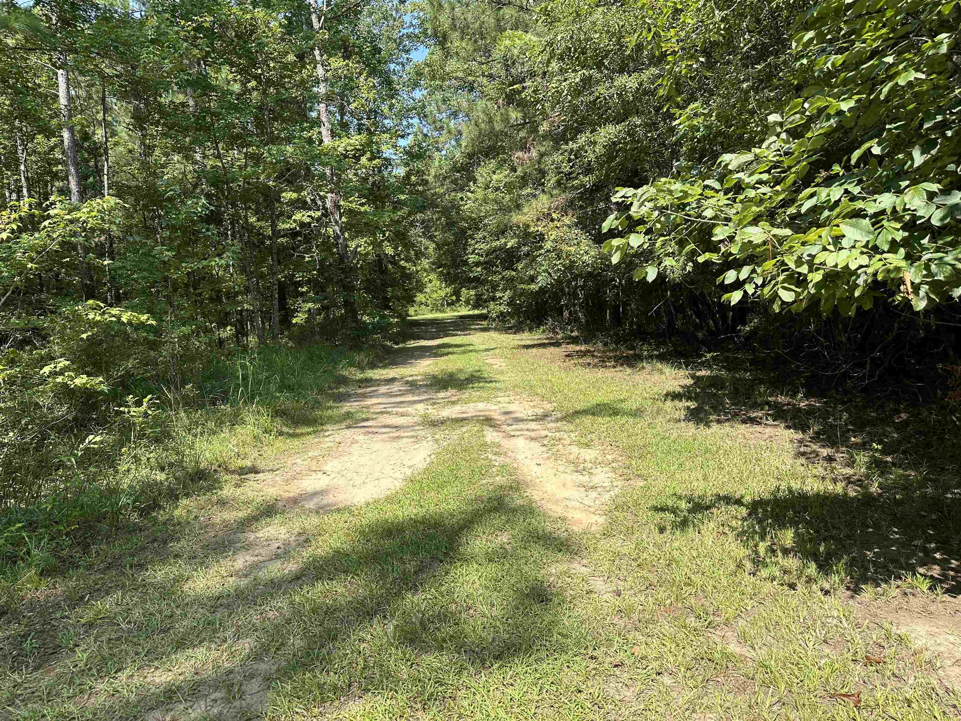 0 Phillips Road Eatonton, GA 31024 - Photo 49 of 61