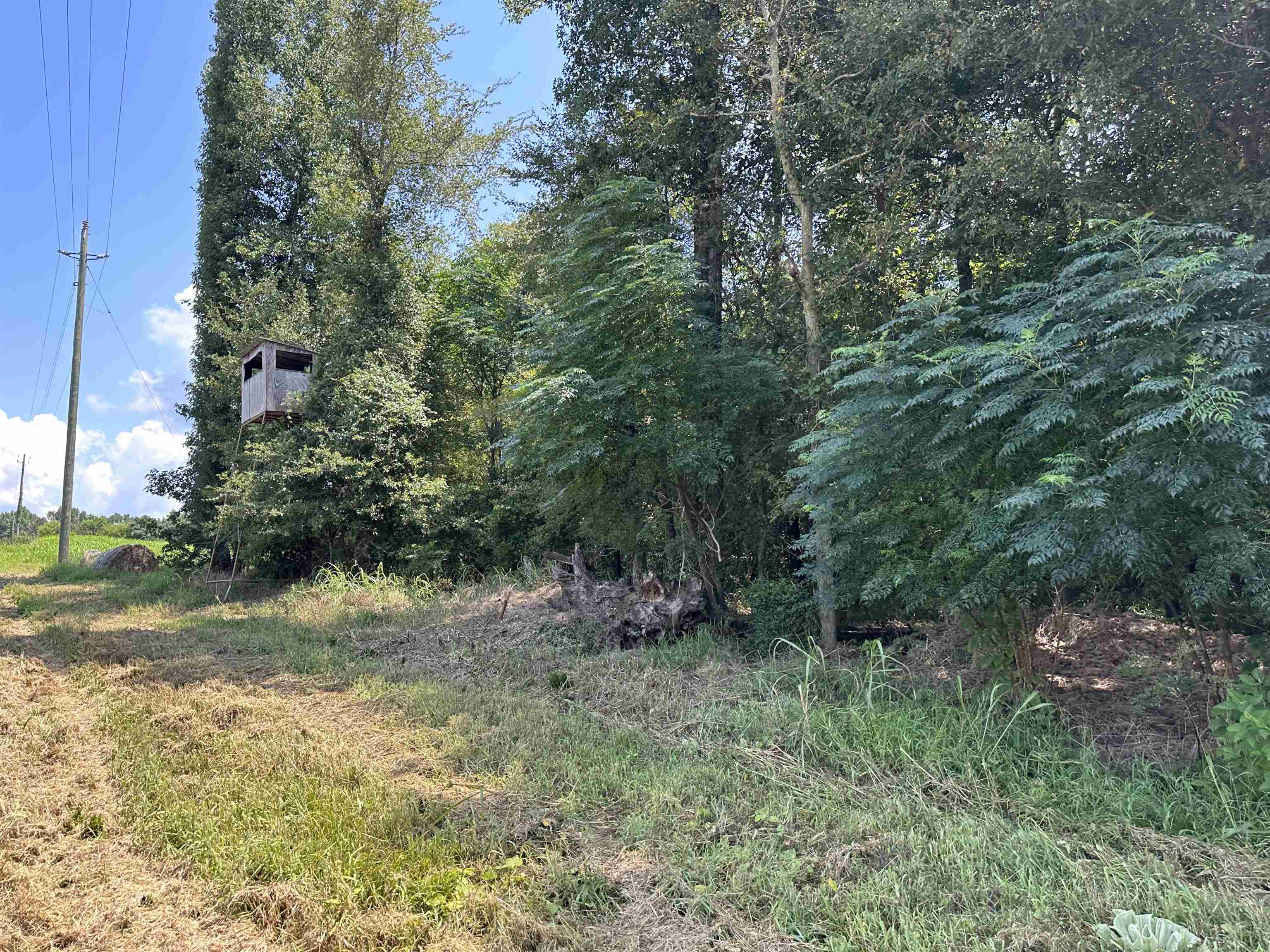 0 Phillips Road Eatonton, GA 31024 - Photo 50 of 61