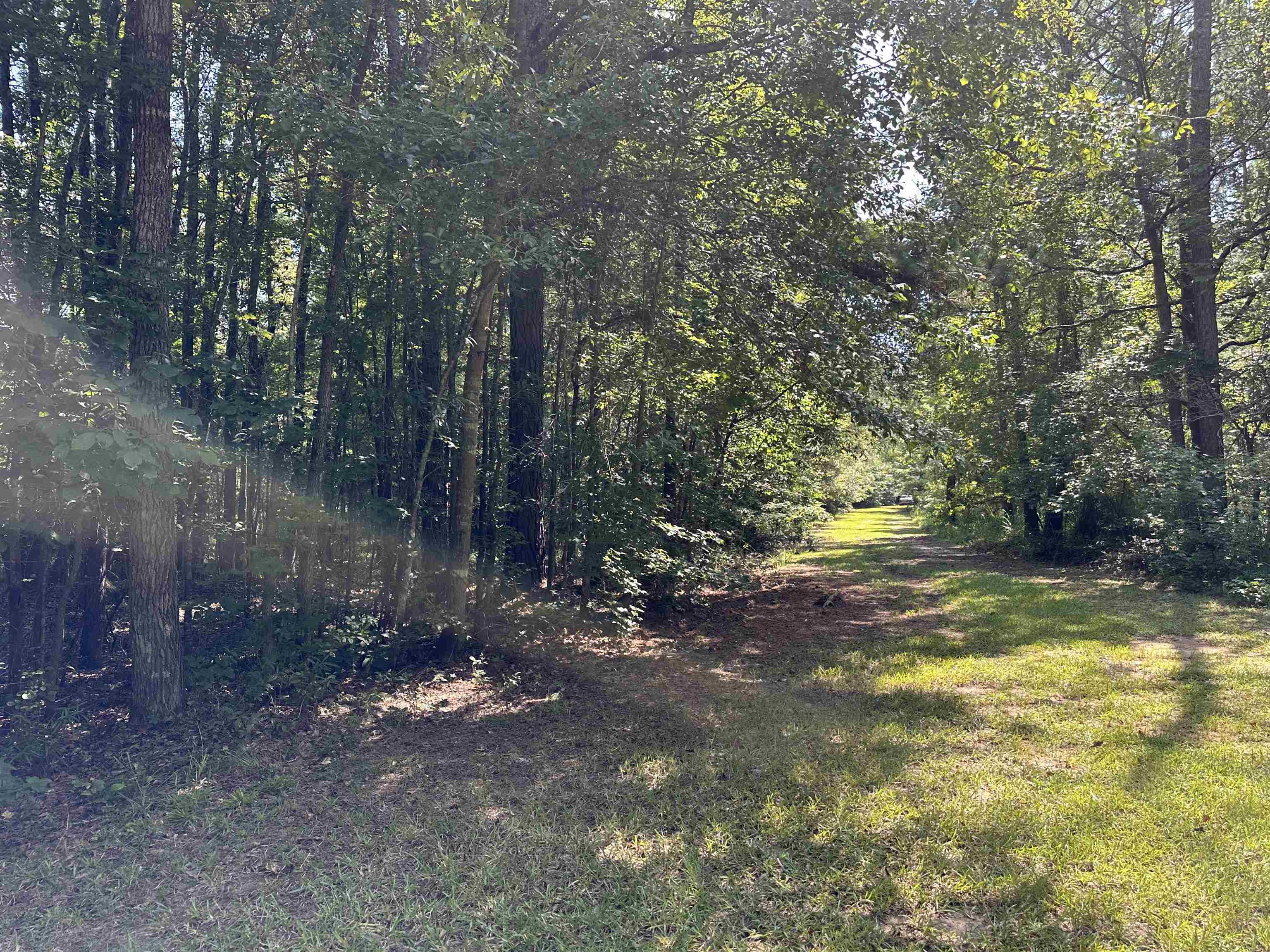 0 Phillips Road Eatonton, GA 31024 - Photo 51 of 61