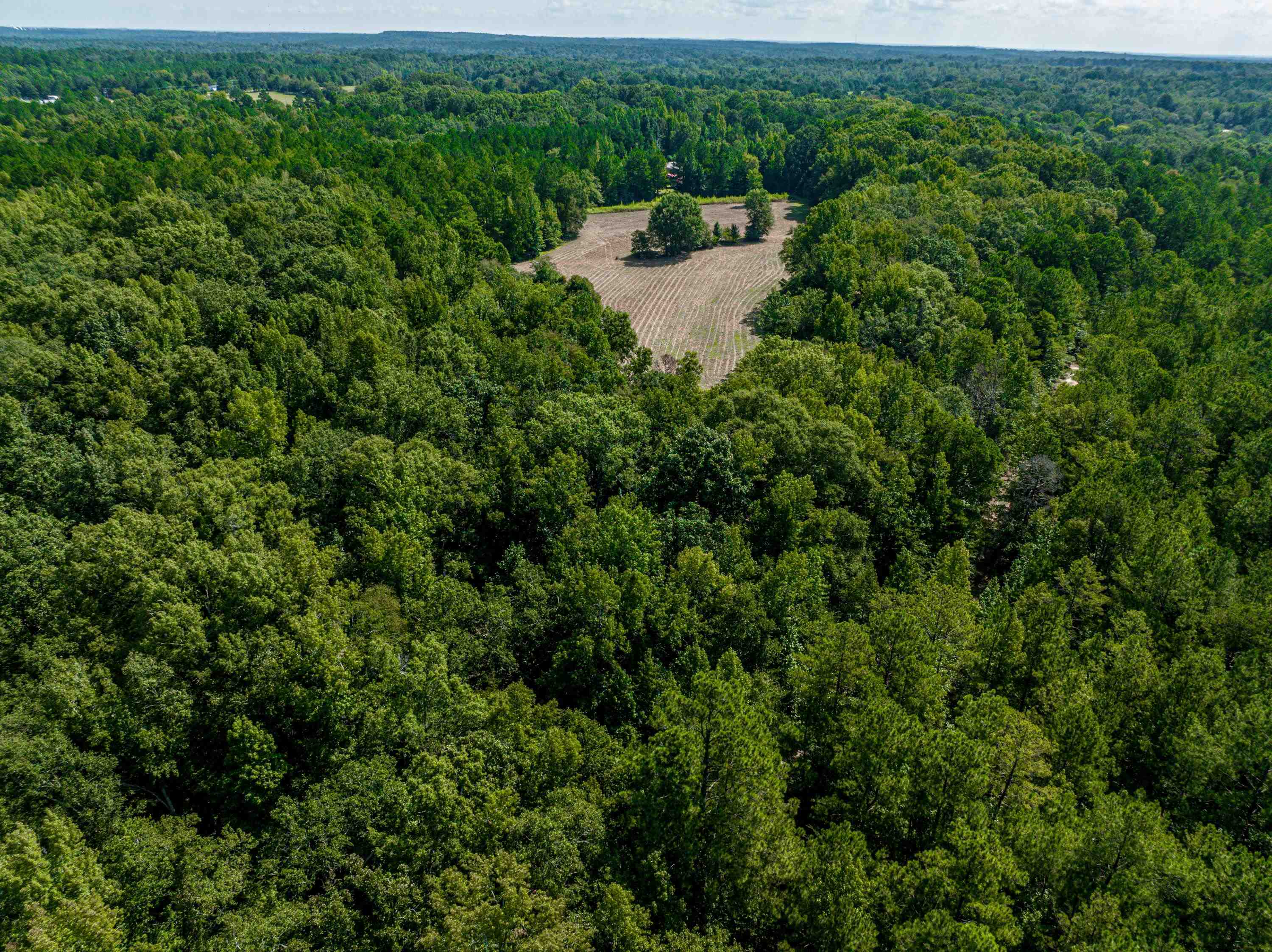 0 Phillips Road Eatonton, GA 31024 - Photo 53 of 61