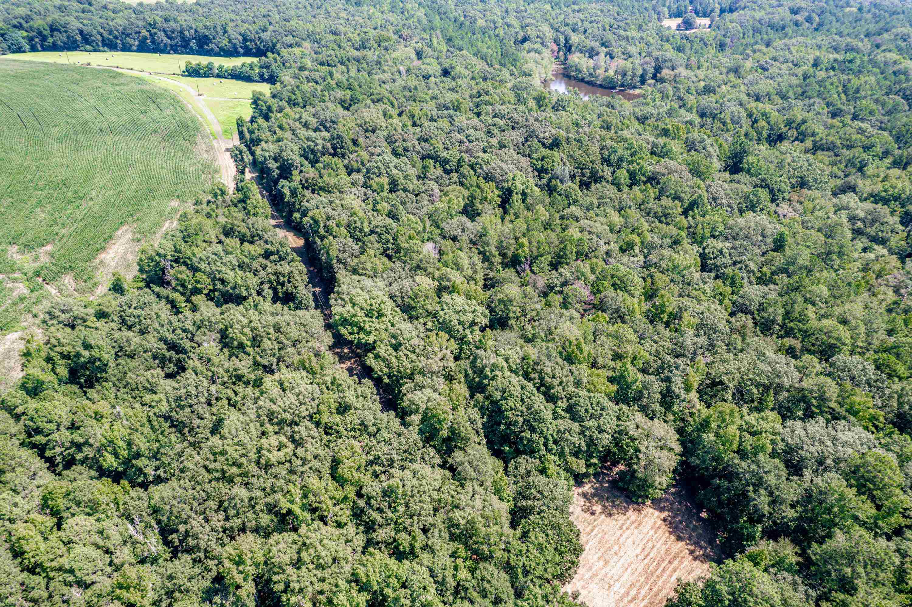 0 Phillips Road Eatonton, GA 31024 - Photo 54 of 61