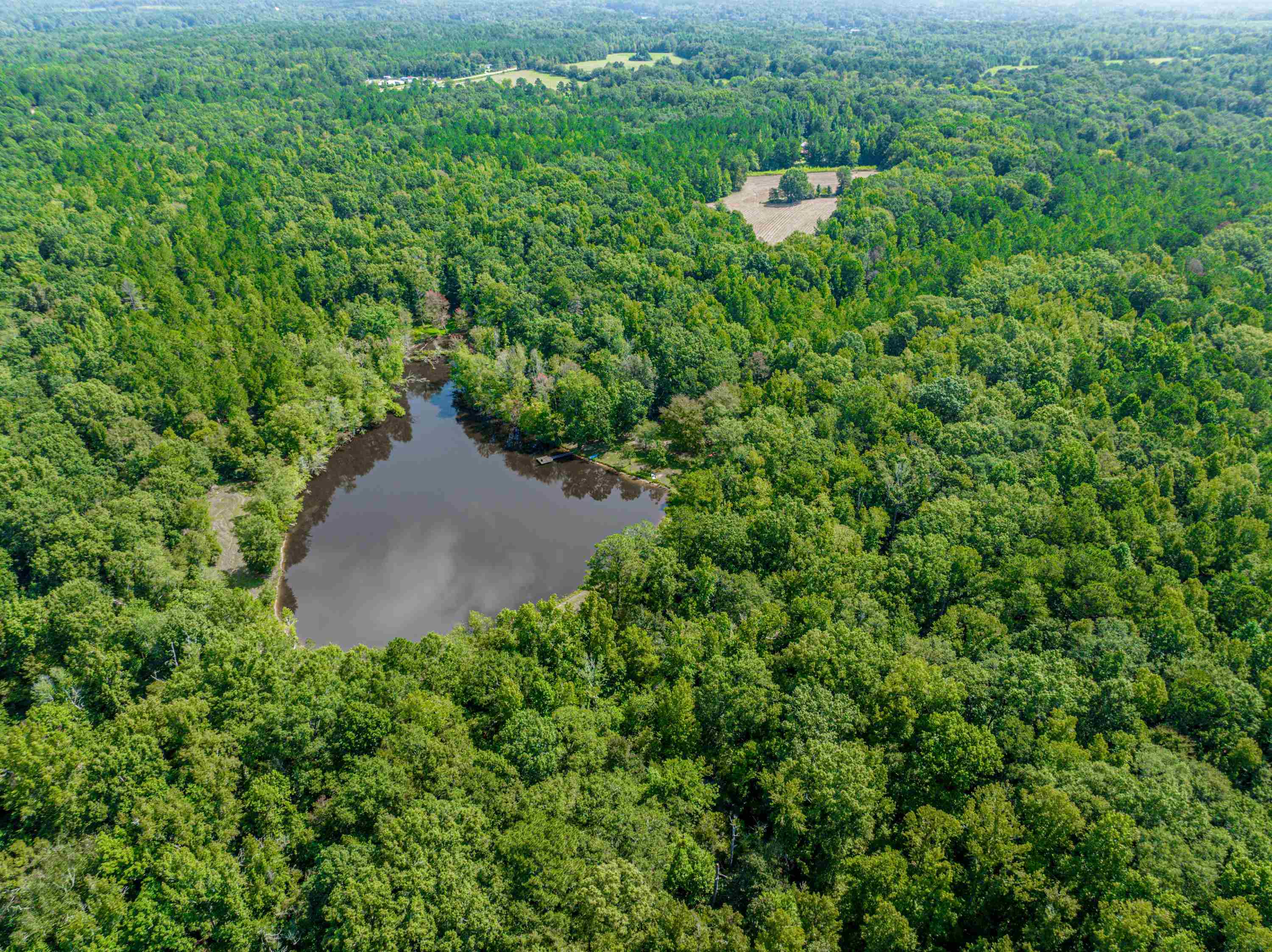 0 Phillips Road Eatonton, GA 31024 - Photo 59 of 61