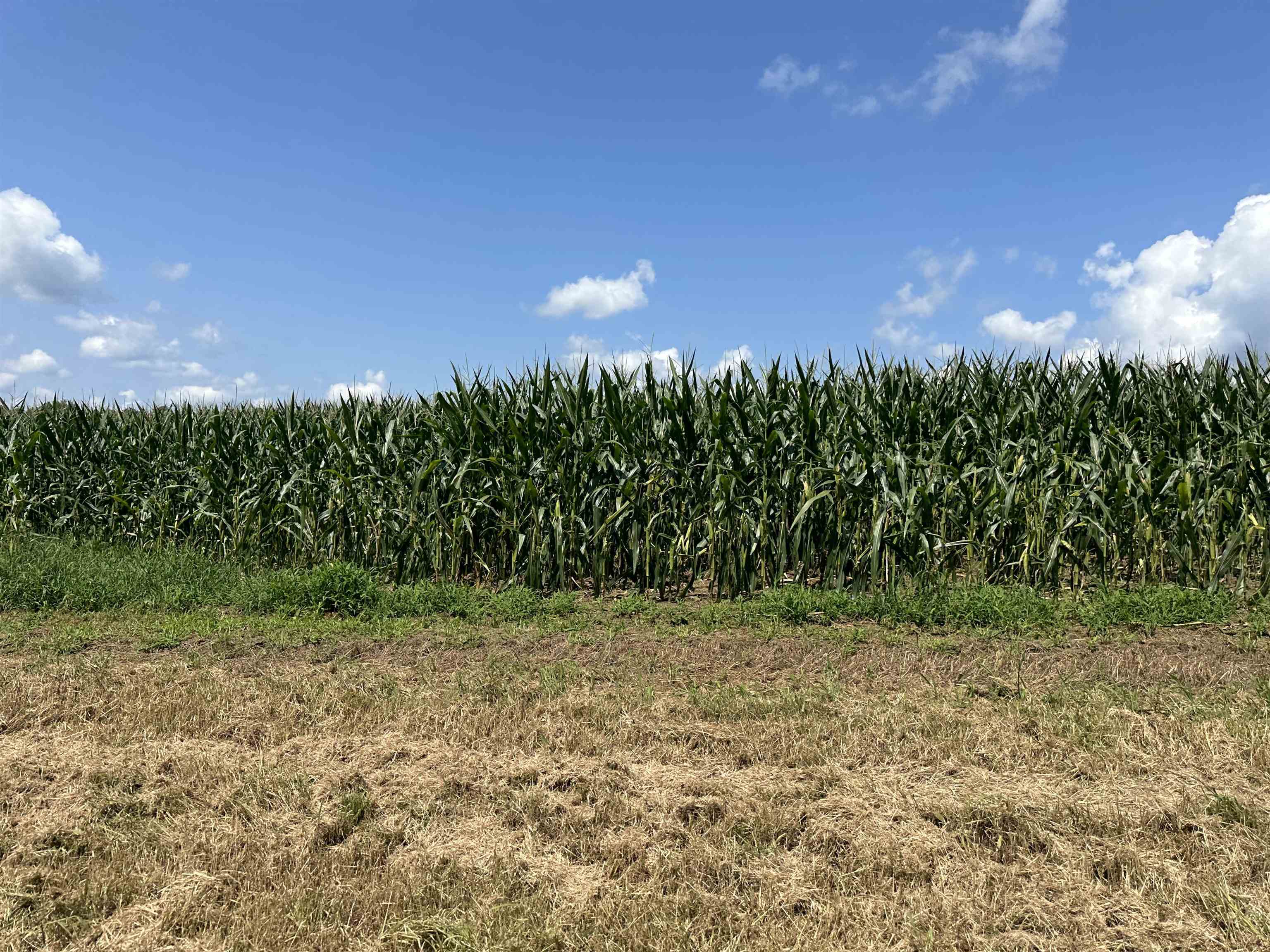 0 Phillips Road Eatonton, GA 31024 - Photo 61 of 61