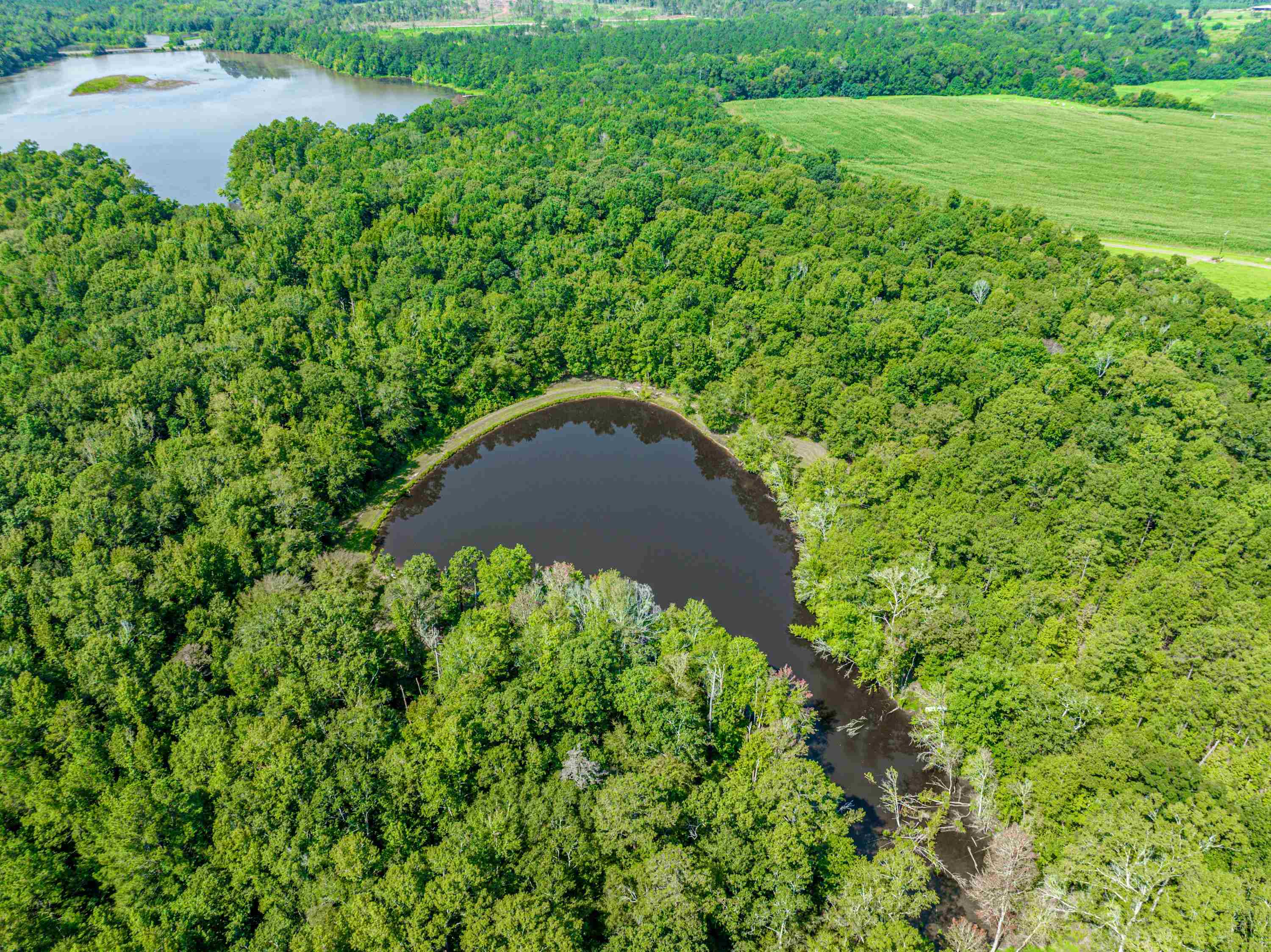 0 Phillips Road Eatonton, GA 31024 - Photo 7 of 61