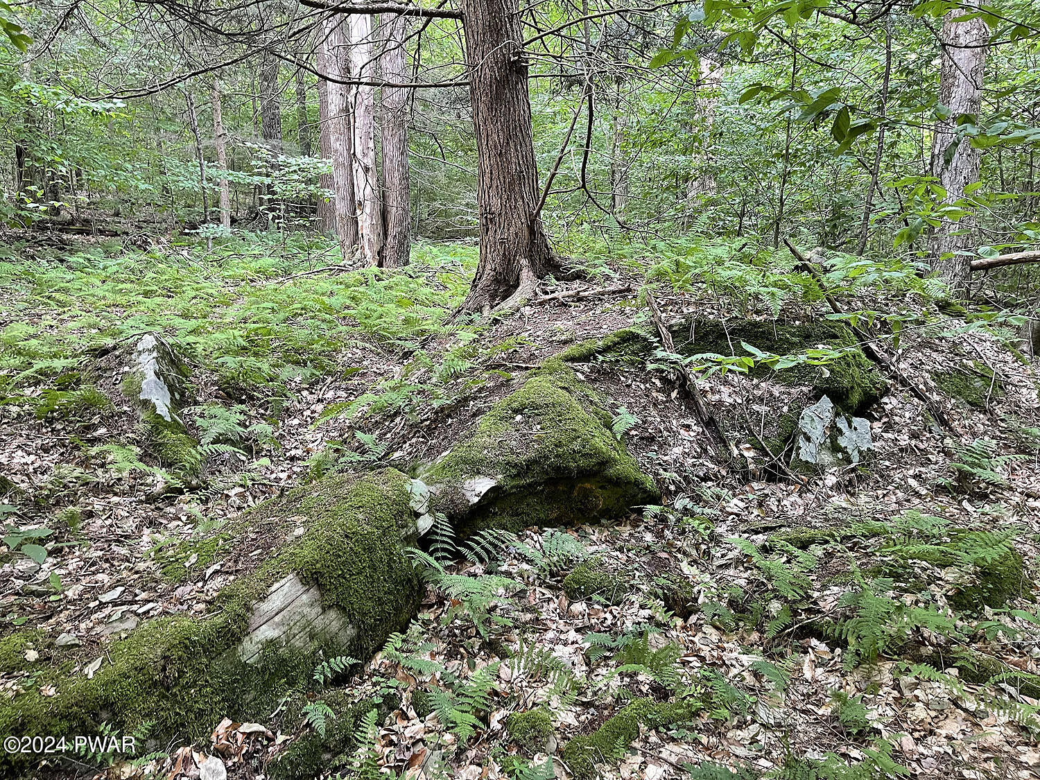 0 Rotten Road Equinunk, PA 18417 - Photo 1 of 20