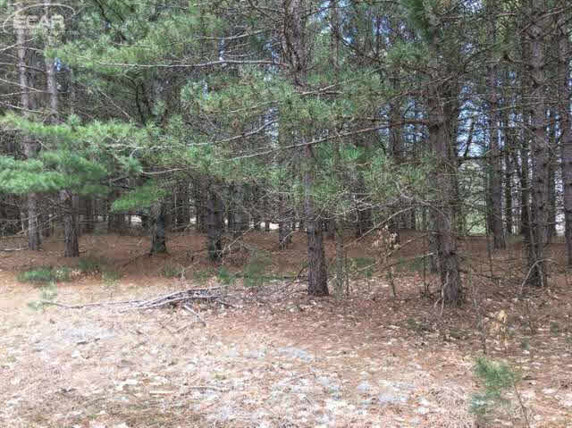 5281 Inman Road Southwest South Boardman, MI 49680 - Photo 14 of 92 20437574-13.JPG