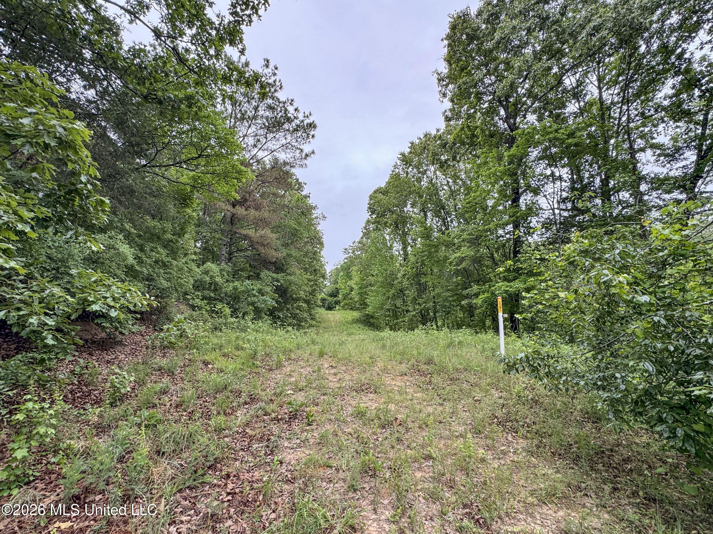Wayne Massie Road Como, MS 38619 - Photo 117 of 184 5cdtbs51