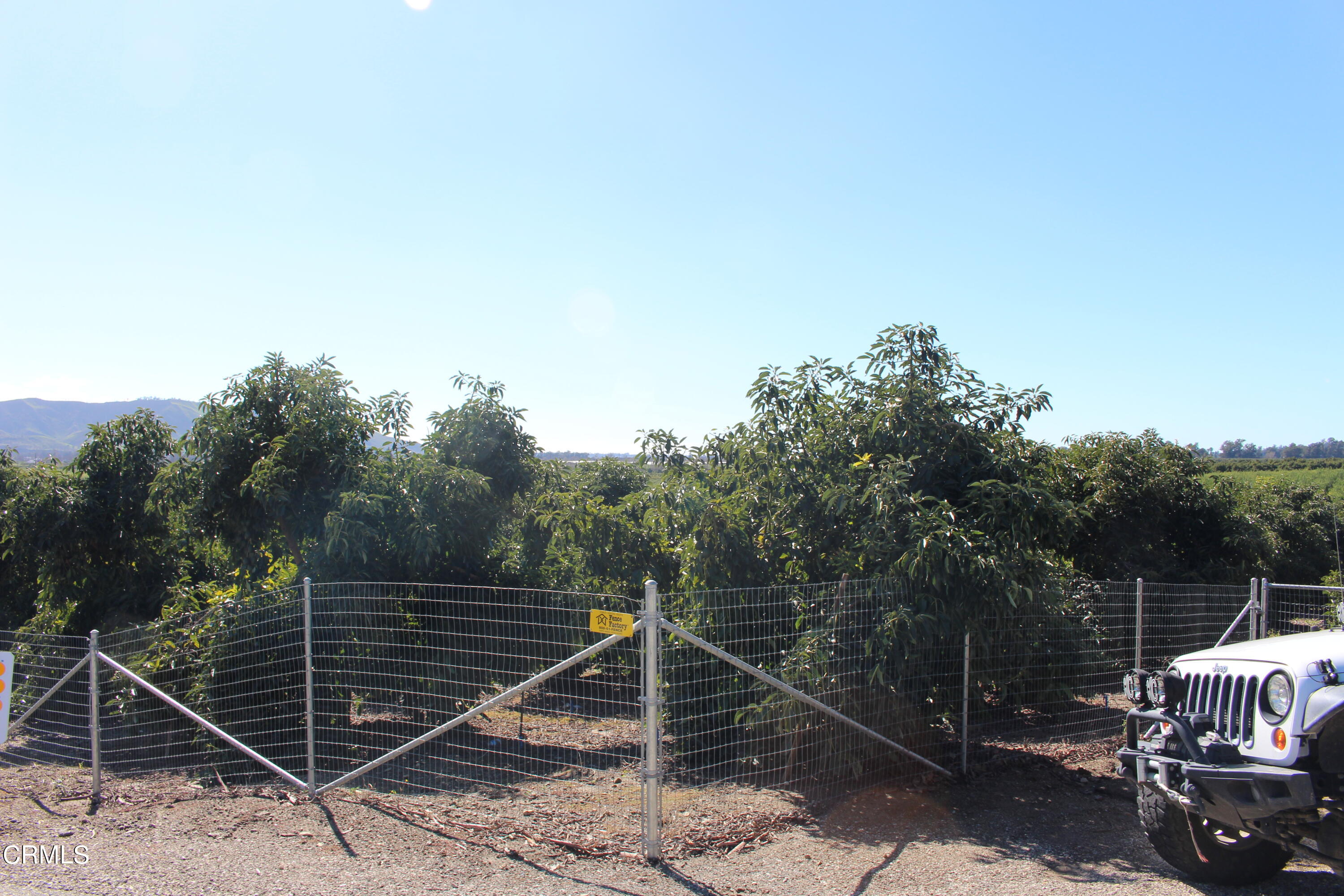 13922 Foothill Road Santa Paula, CA 93060 - Photo 11 of 40 IMG_5628
