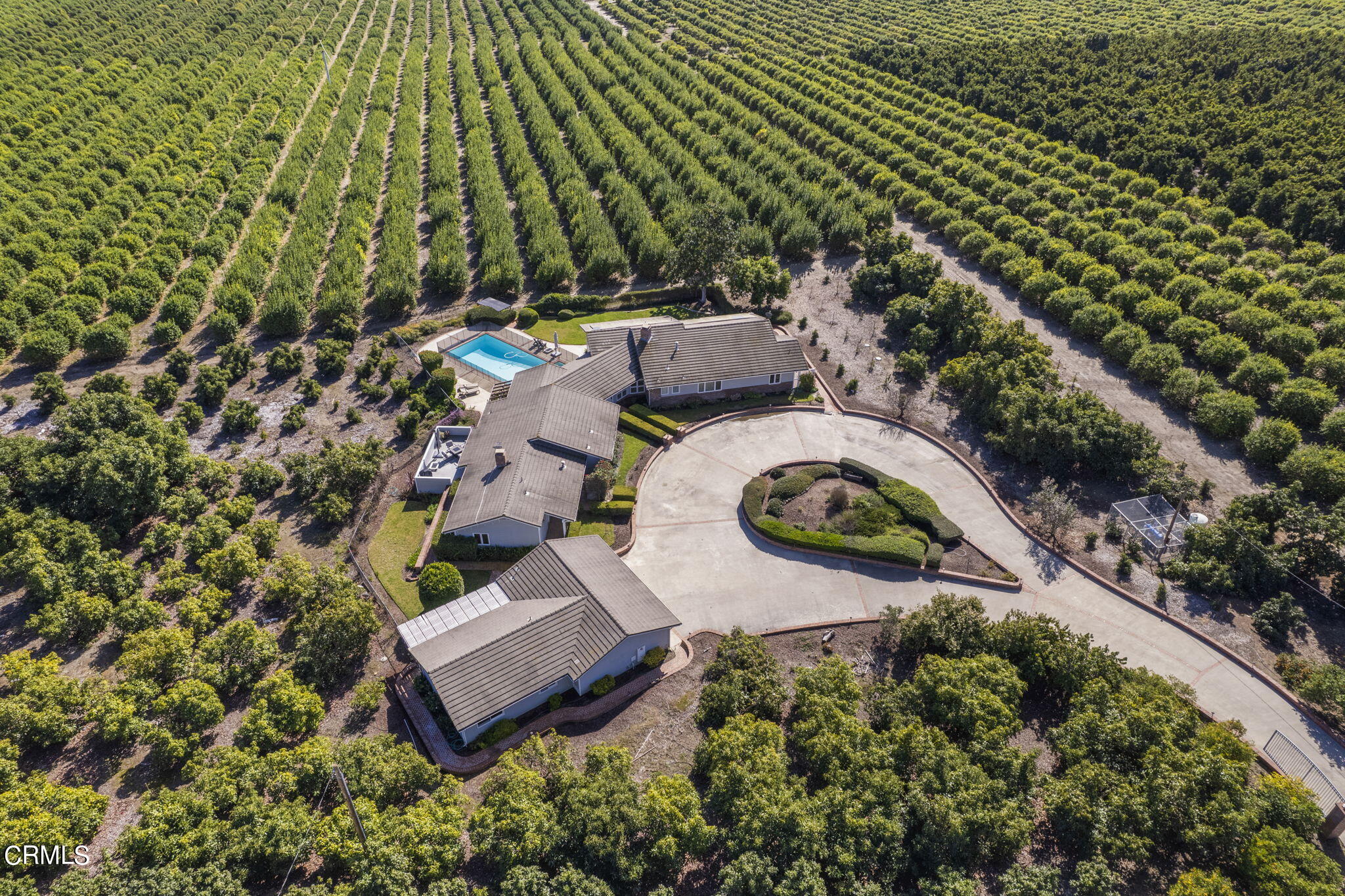 13922 Foothill Road Santa Paula, CA 93060 - Photo 38 of 40 73-web-or-mls-DJI_0796