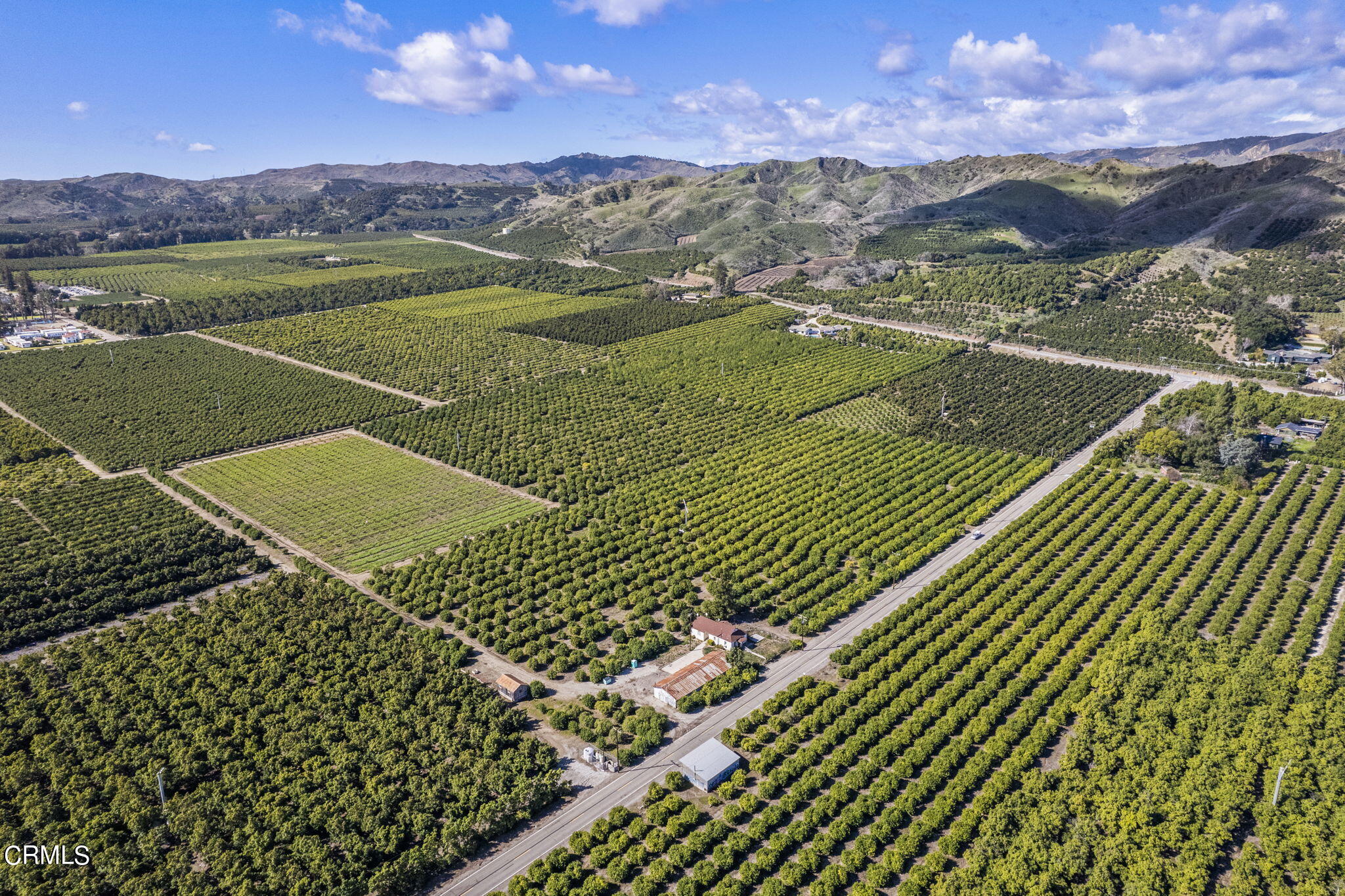 13922 Foothill Road Santa Paula, CA 93060 - Photo 39 of 40 76-web-or-mls-DJI_0823