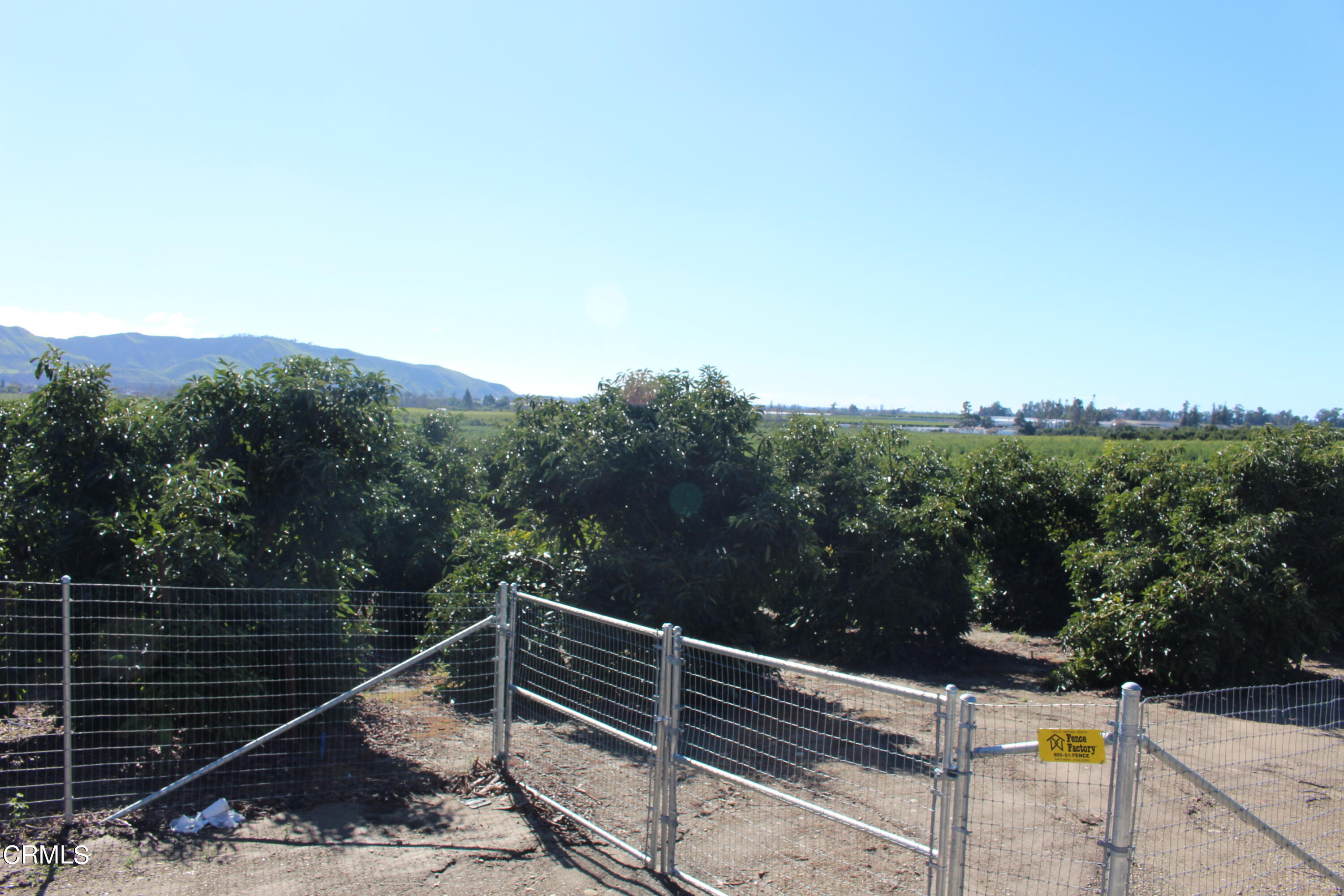 13922 Foothill Road Santa Paula, CA 93060 - Photo 4 of 40 IMG_5627