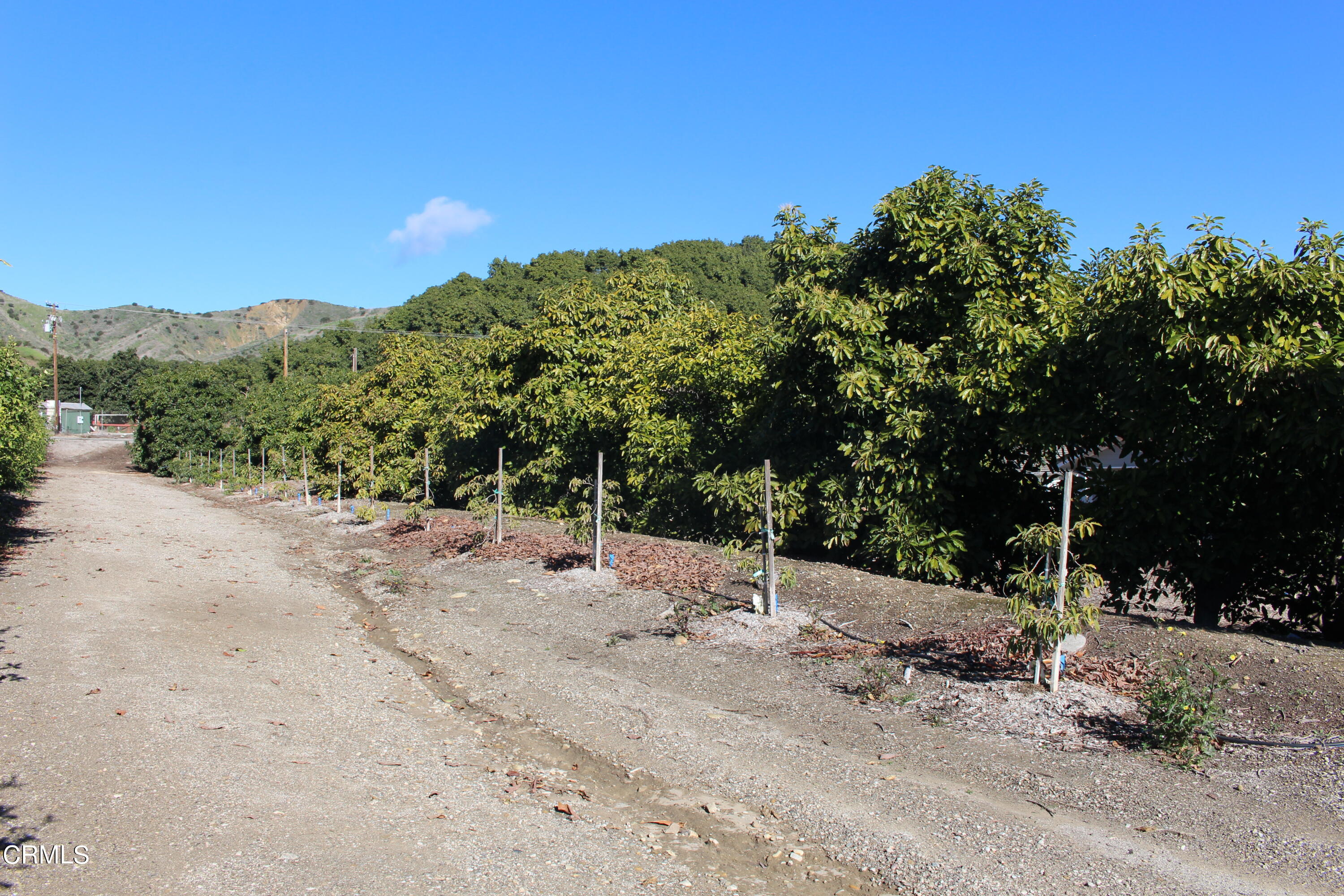 13922 Foothill Road Santa Paula, CA 93060 - Photo 10 of 40 IMG_5615