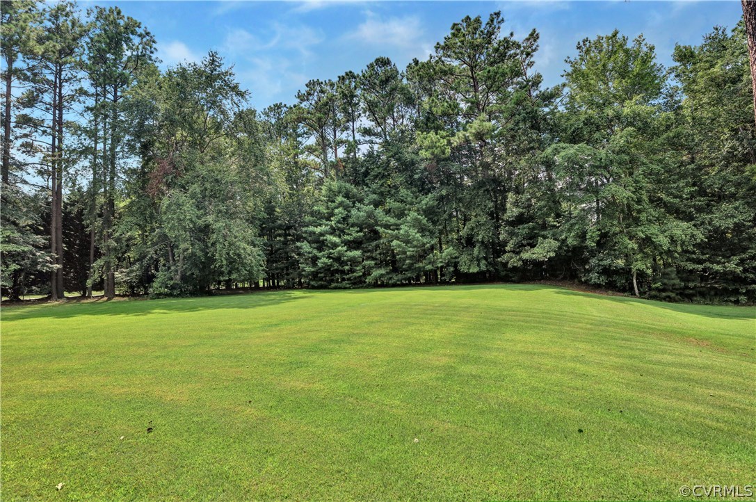 15100 Beach Road Chesterfield, VA 23838 - Photo 29 of 41 a view of a field with an trees